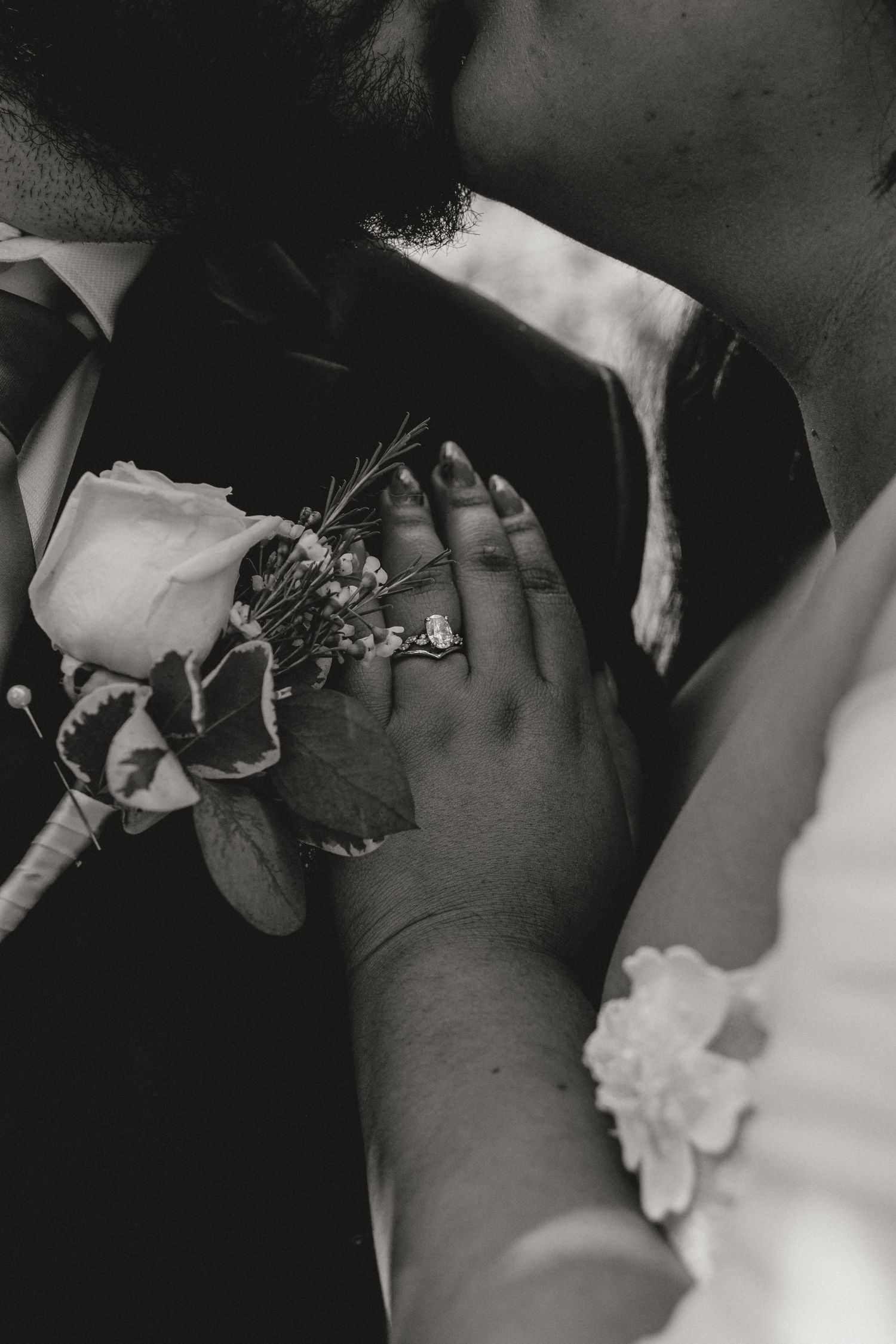 A ring photo at Alfred Caldwell Lily Pool in Chicago, Illinois