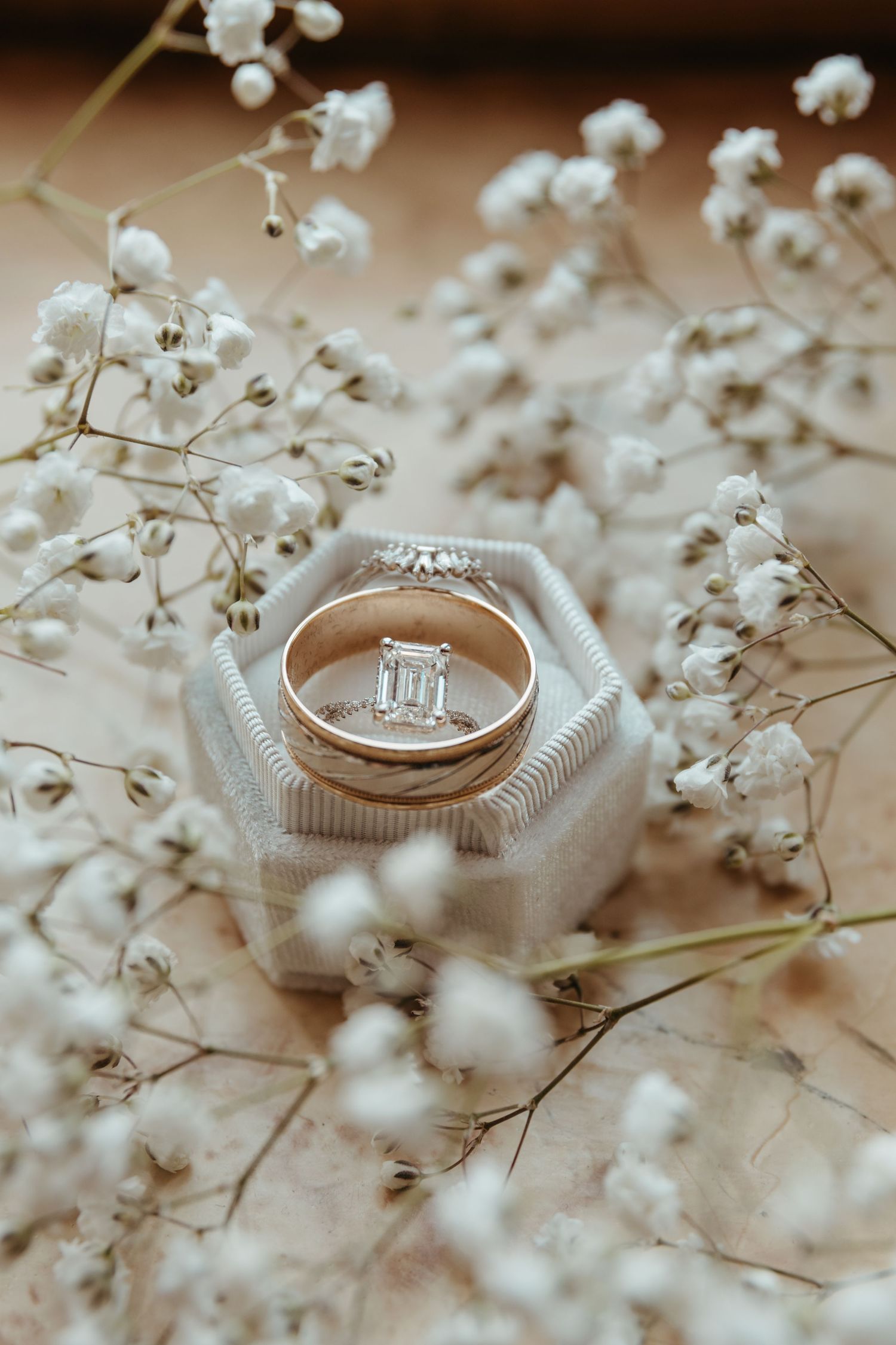 A ring photo at Morris Performing Arts Center in South Bend, Indiana