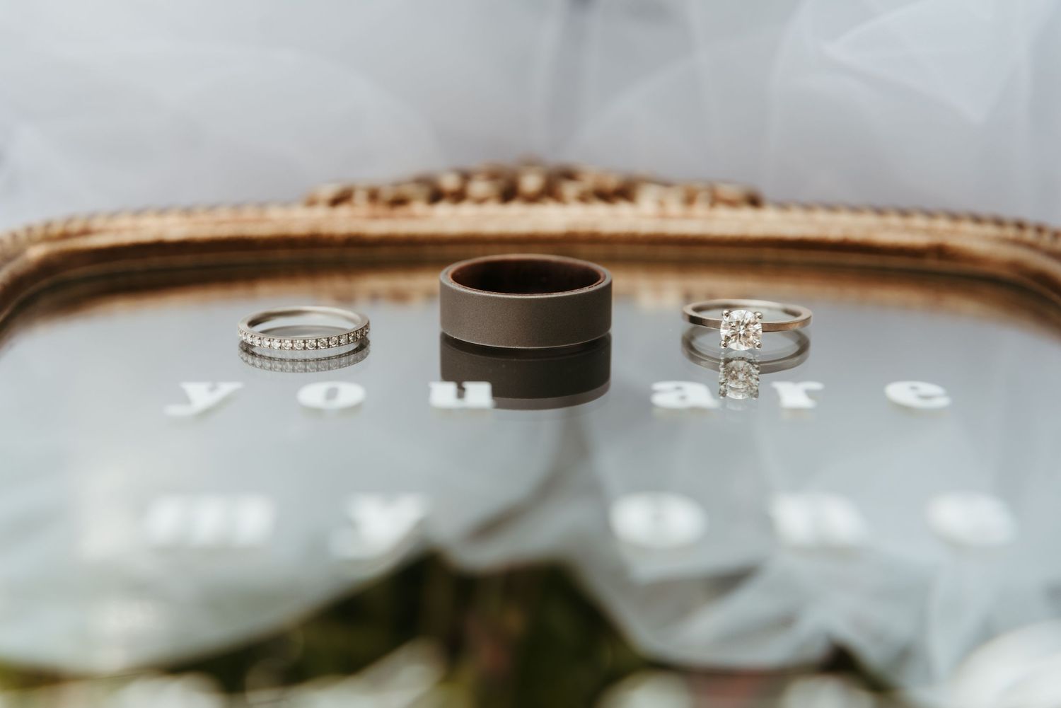A wedding at Foellinger-Freimann Botanical Conservatory in Fort Wayne, Indiana