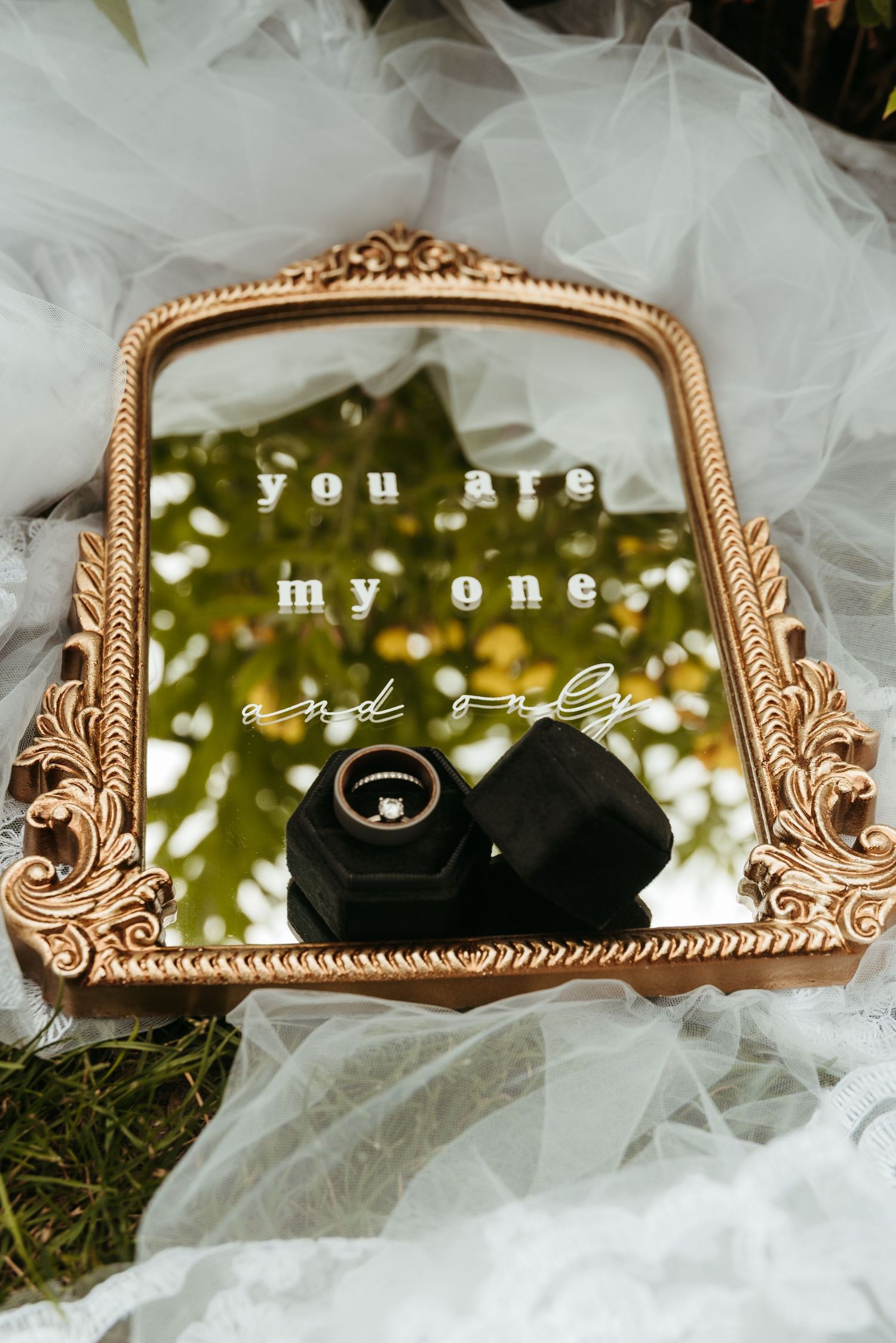 A wedding at Foellinger-Freimann Botanical Conservatory in Fort Wayne, Indiana