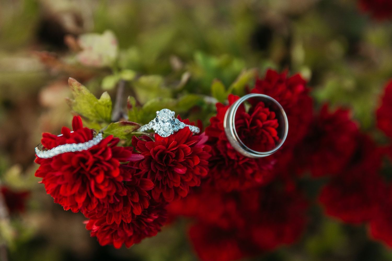 A ring photo at The Shed Weddings & Events in Wanatah, Indiana