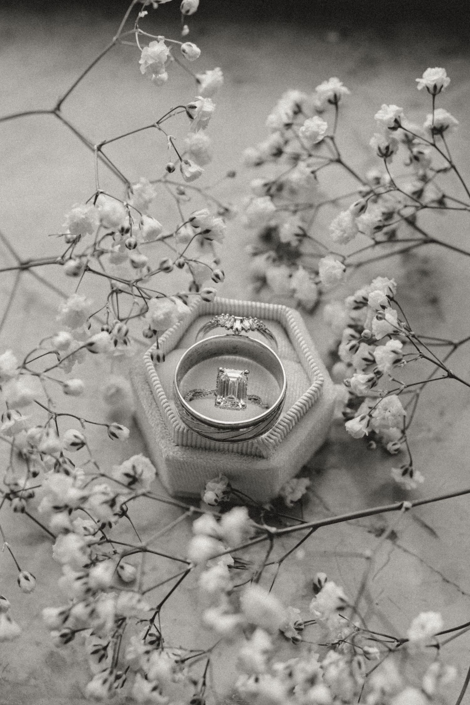 A ring photo at Morris Performing Arts Center in South Bend, Indiana