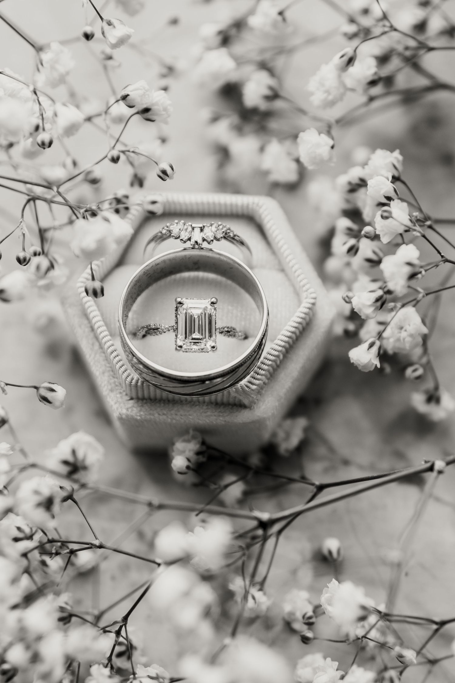 A ring photo at Morris Performing Arts Center in South Bend, Indiana