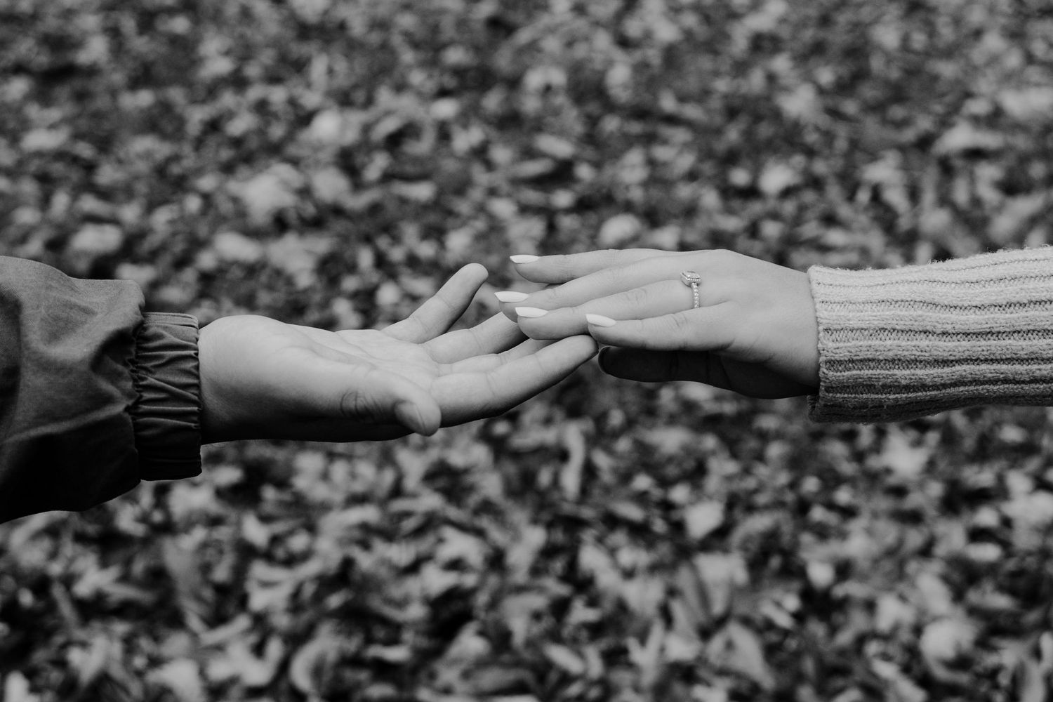 A couples session at Deep River County Park in Hobart, Indiana