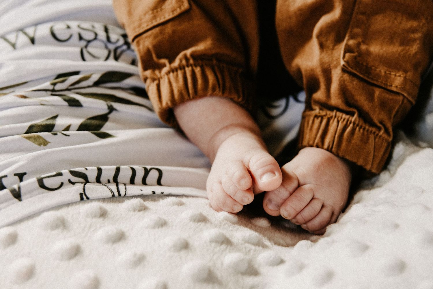 A family session in Twelve Mile, Indiana
