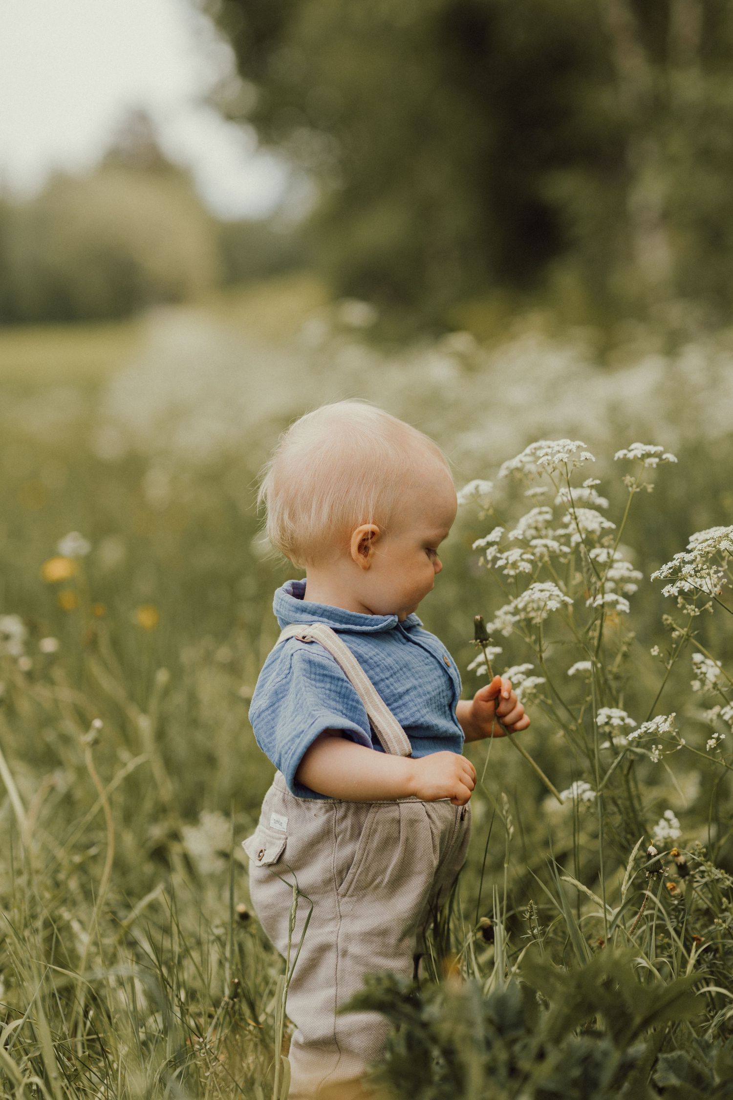 Familjefotografering på sommaren