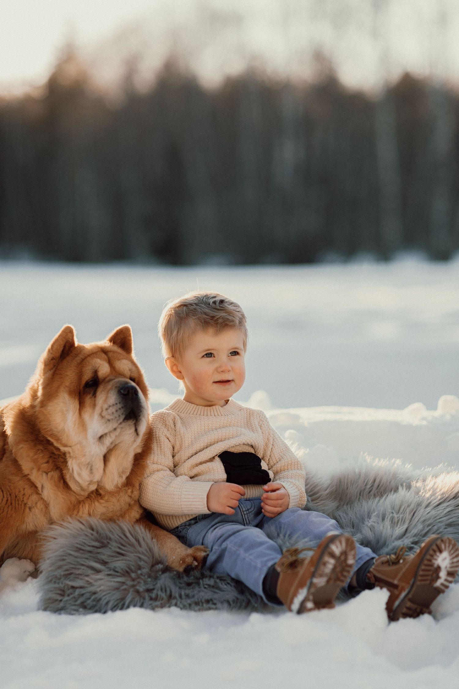 Familjefotografering på vintern