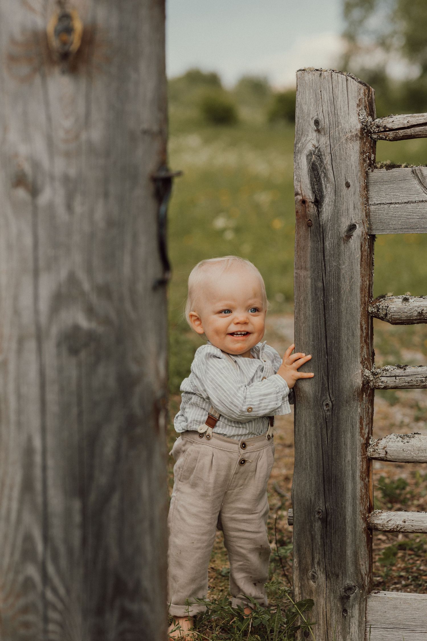 Familjefotografering på sommaren
