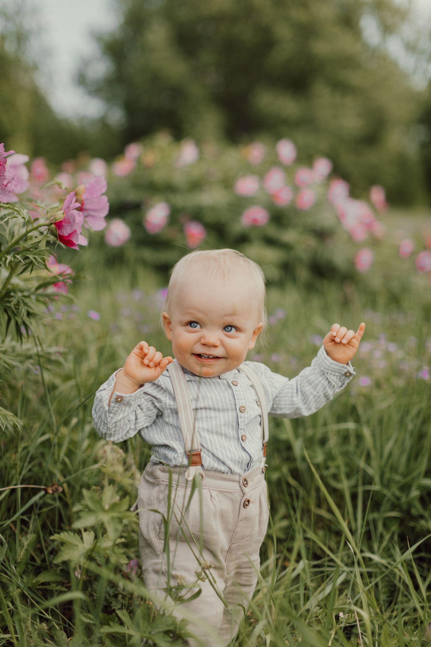 Familjefotografering på sommaren