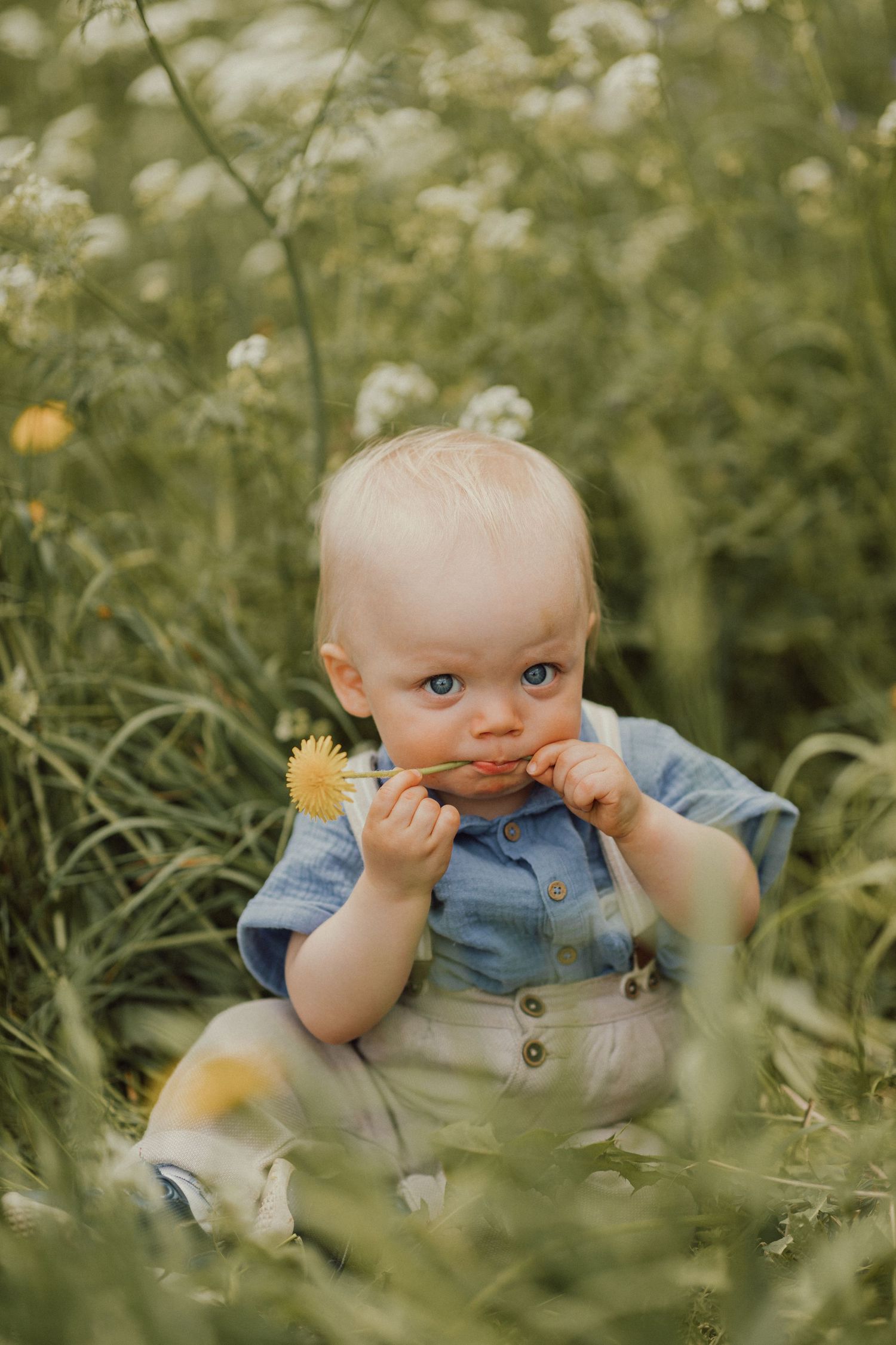 Familjefotografering på sommaren