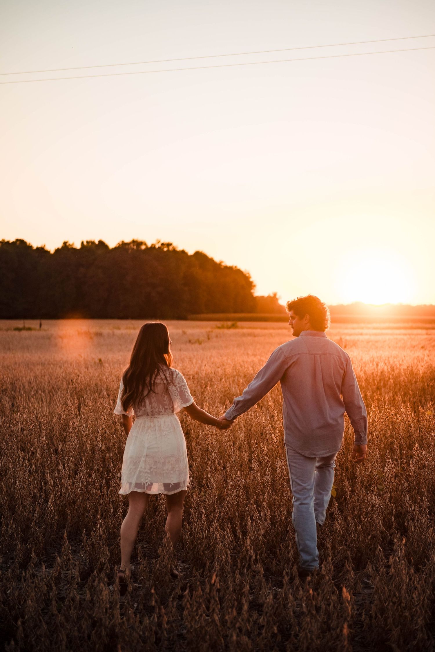 Silhouetted couple holding hands in wheat field at sunset with warm lighting.