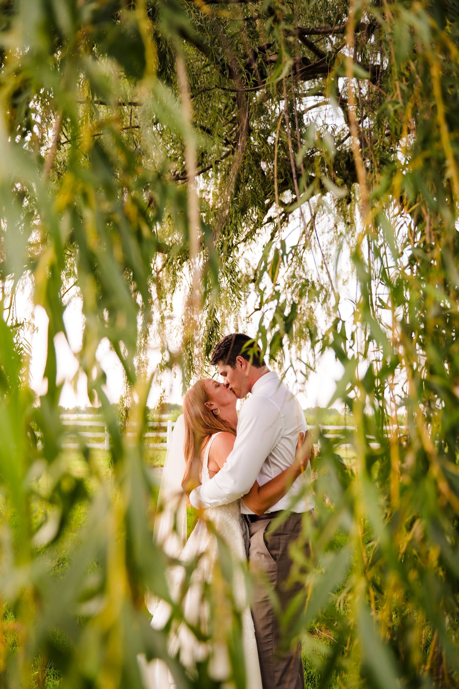 Intimate wedding photos under drooping willow tree branches in soft natural lighting.