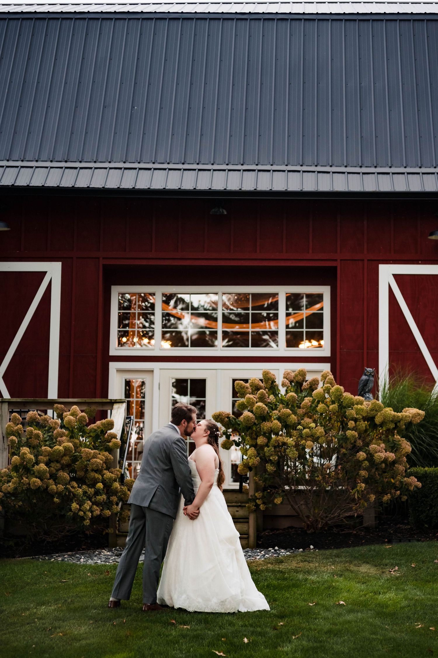 Romantic wedding portraits against a red barn with white trim and hydrangea bushes.