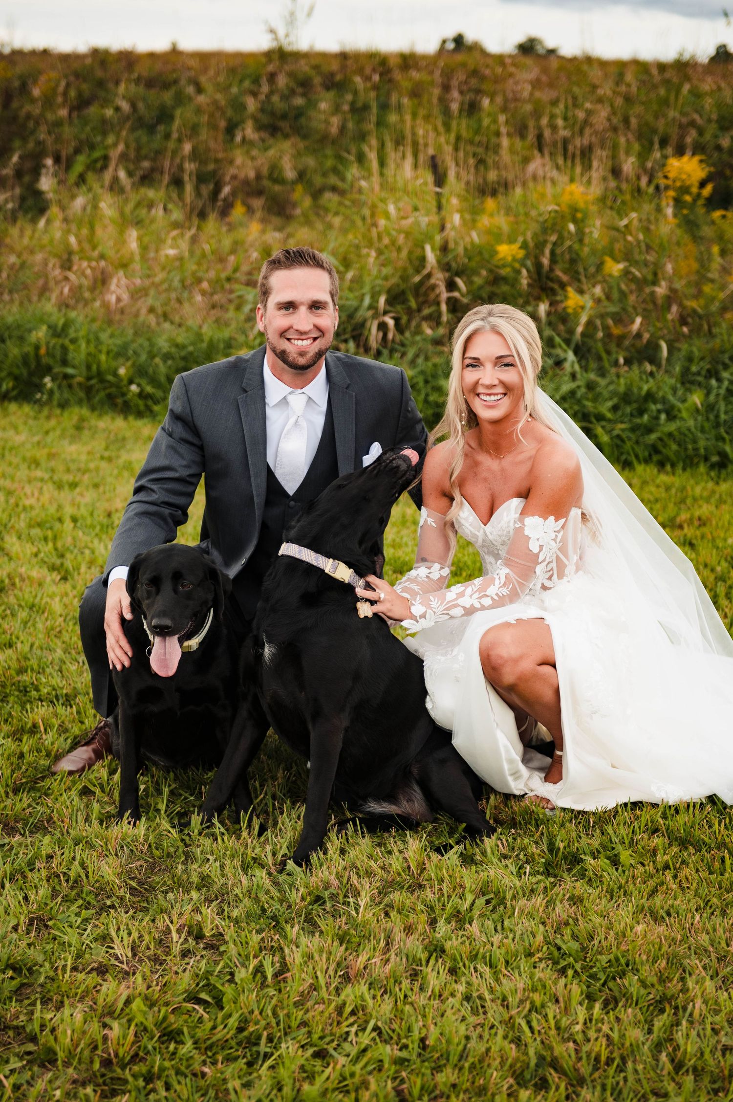 A wedding couple poses with their black Labrador dogs in a scenic field of wildflowers.