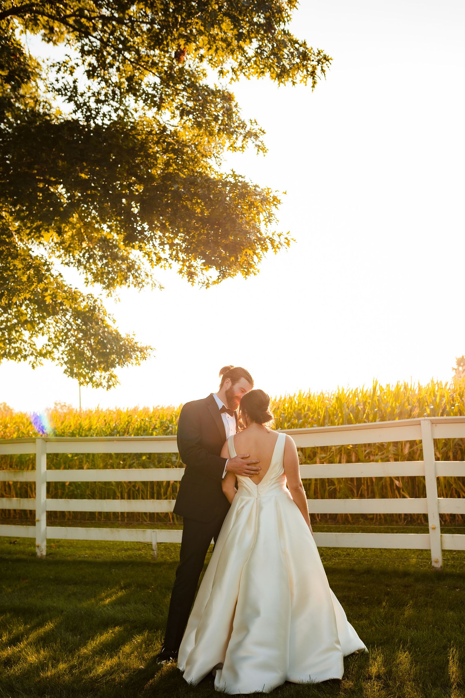 A romantic sunset wedding portrait with a white fence and cornfield creating a dreamy golden backdrop.