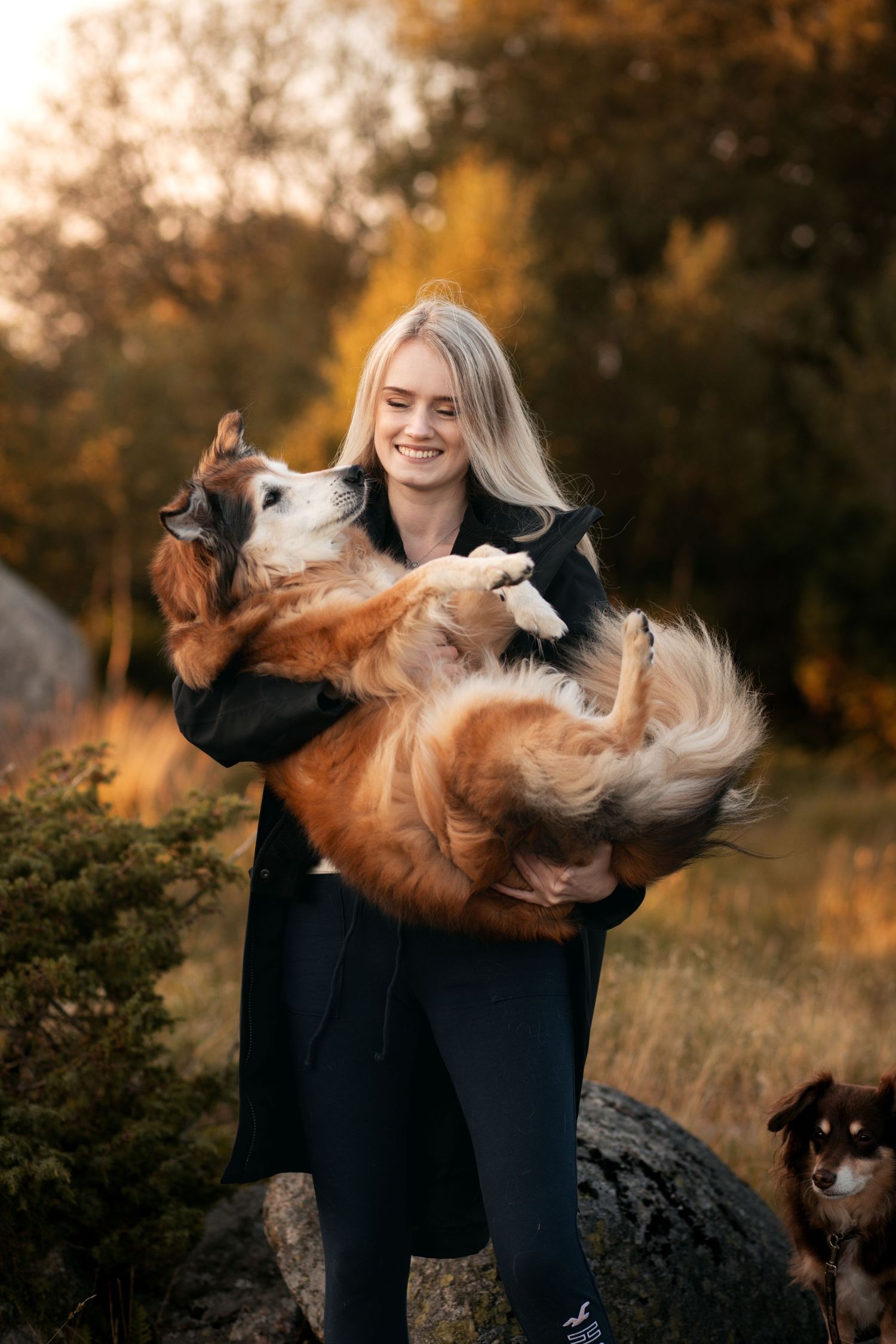 Hundefoto med eier