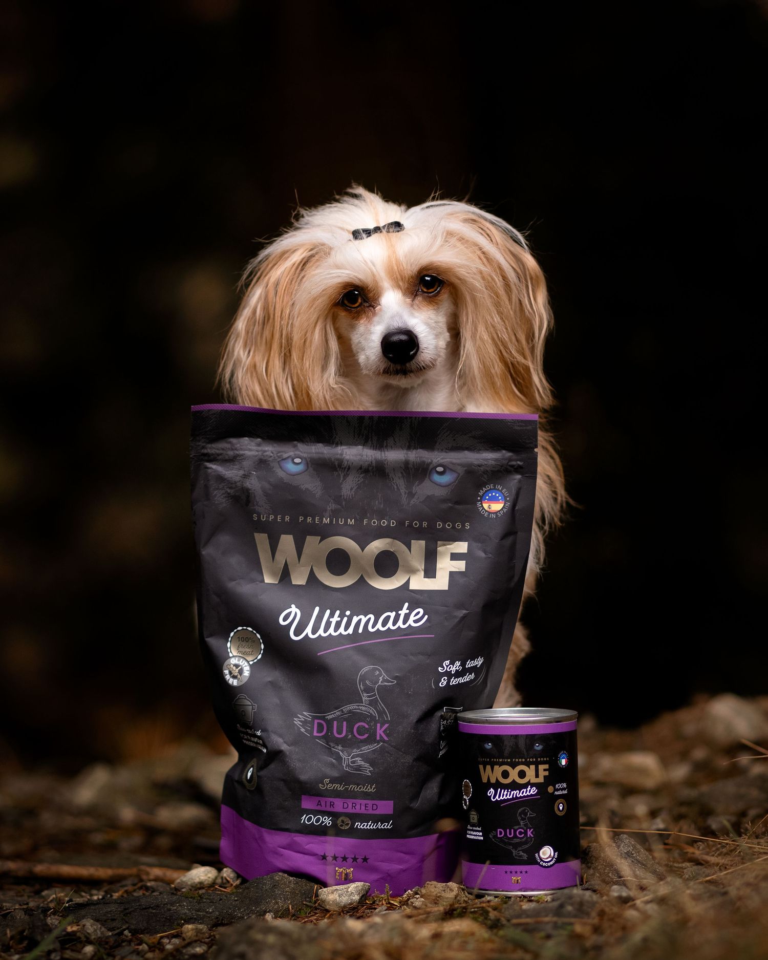 Bilde med hund for Woolf