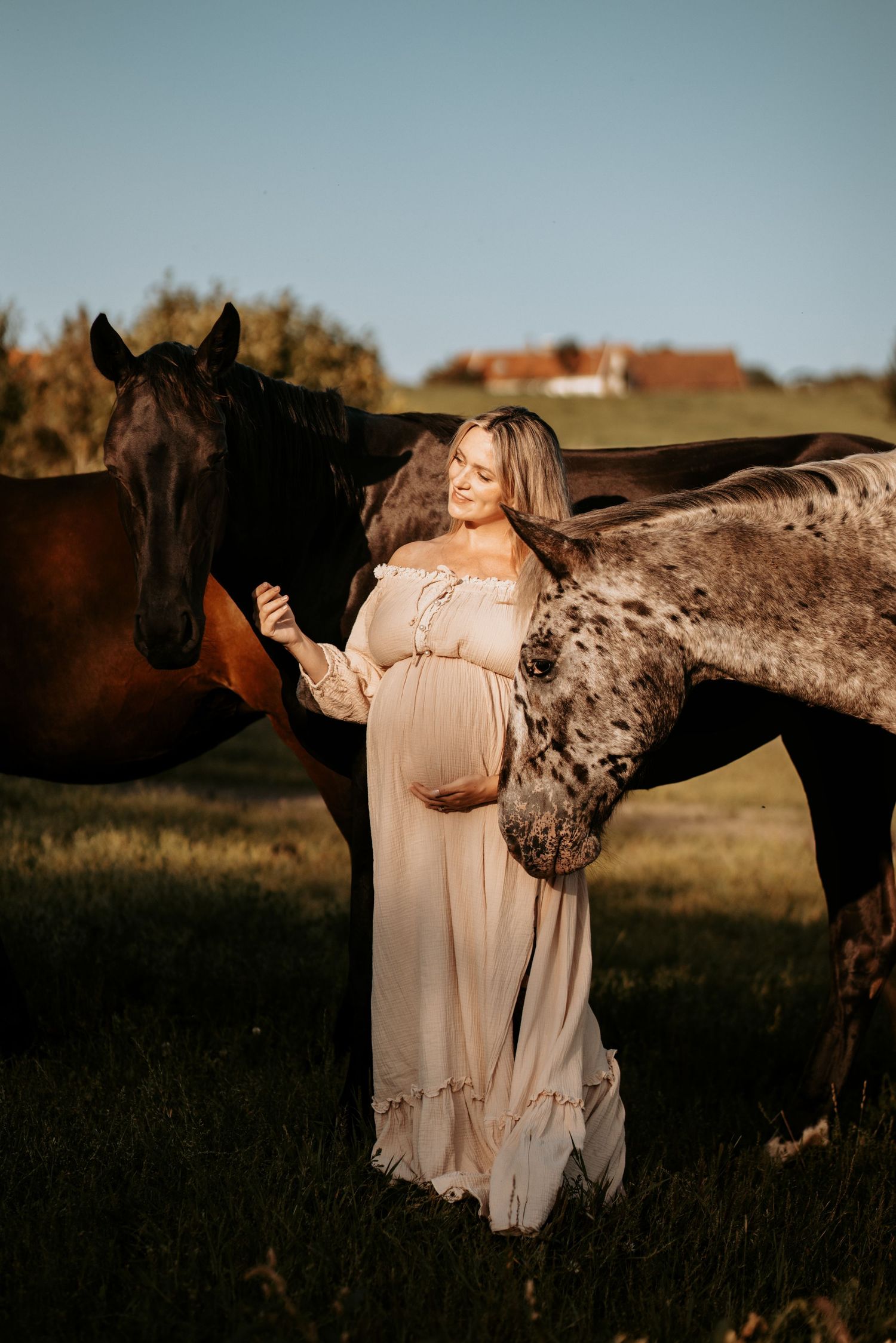 Gravidfoto med hest