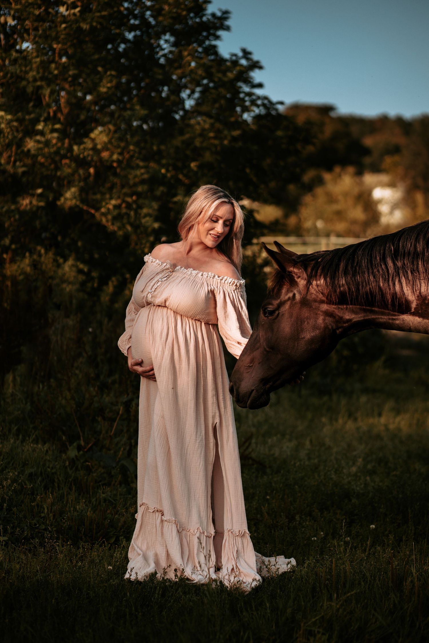 Gravidfoto med hest