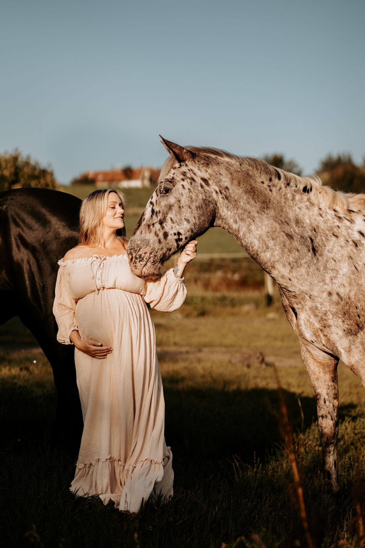 Gravidfoto med Hest