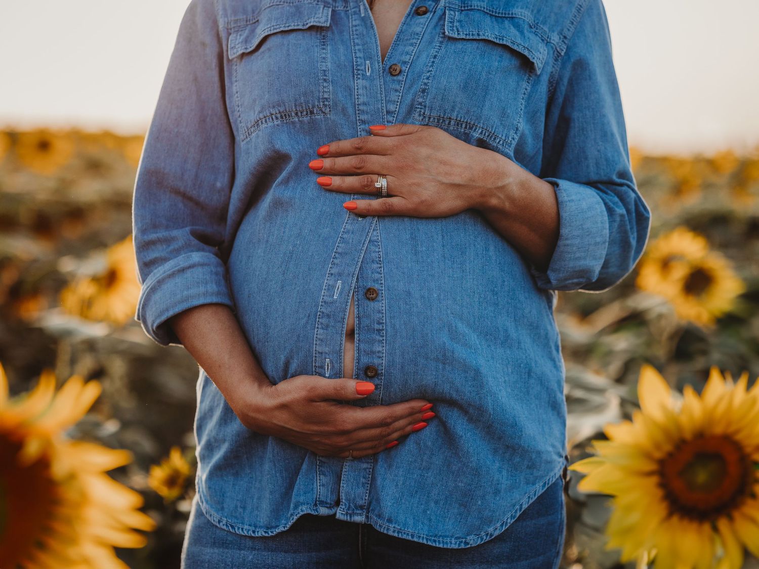 Hands cradle a pregnant belly while wearing denim shirt in a sunflower field at sunset.