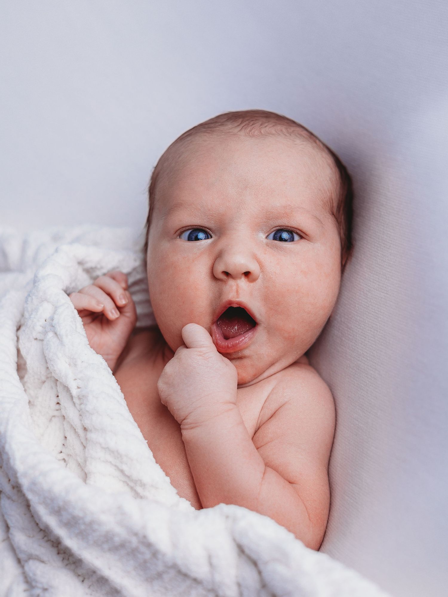 A series of close-up portraits of a newborn baby wrapped in white blankets against a light background.