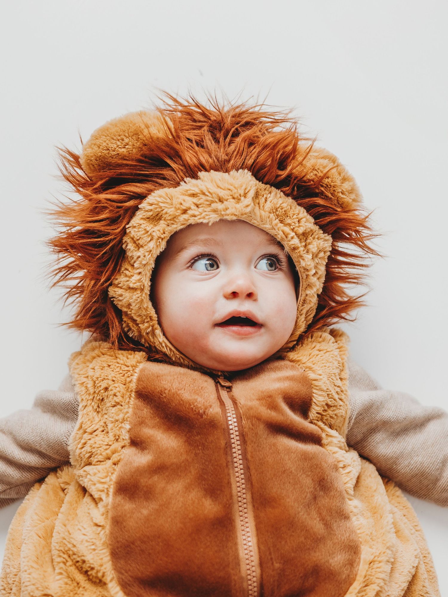 Adorable baby dressed in a fluffy lion costume with a mane hood, looking up curiously against a white background.