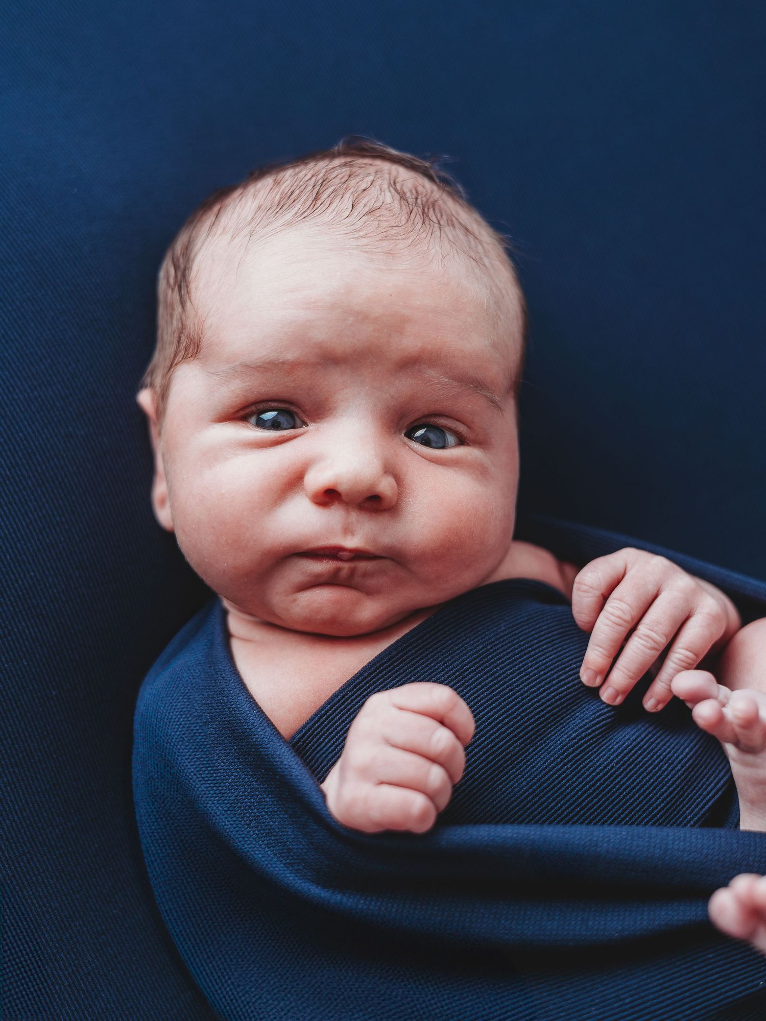 Baby wrapped in dark blue blanket against navy background looking at camera with bright eyes and curious expression.