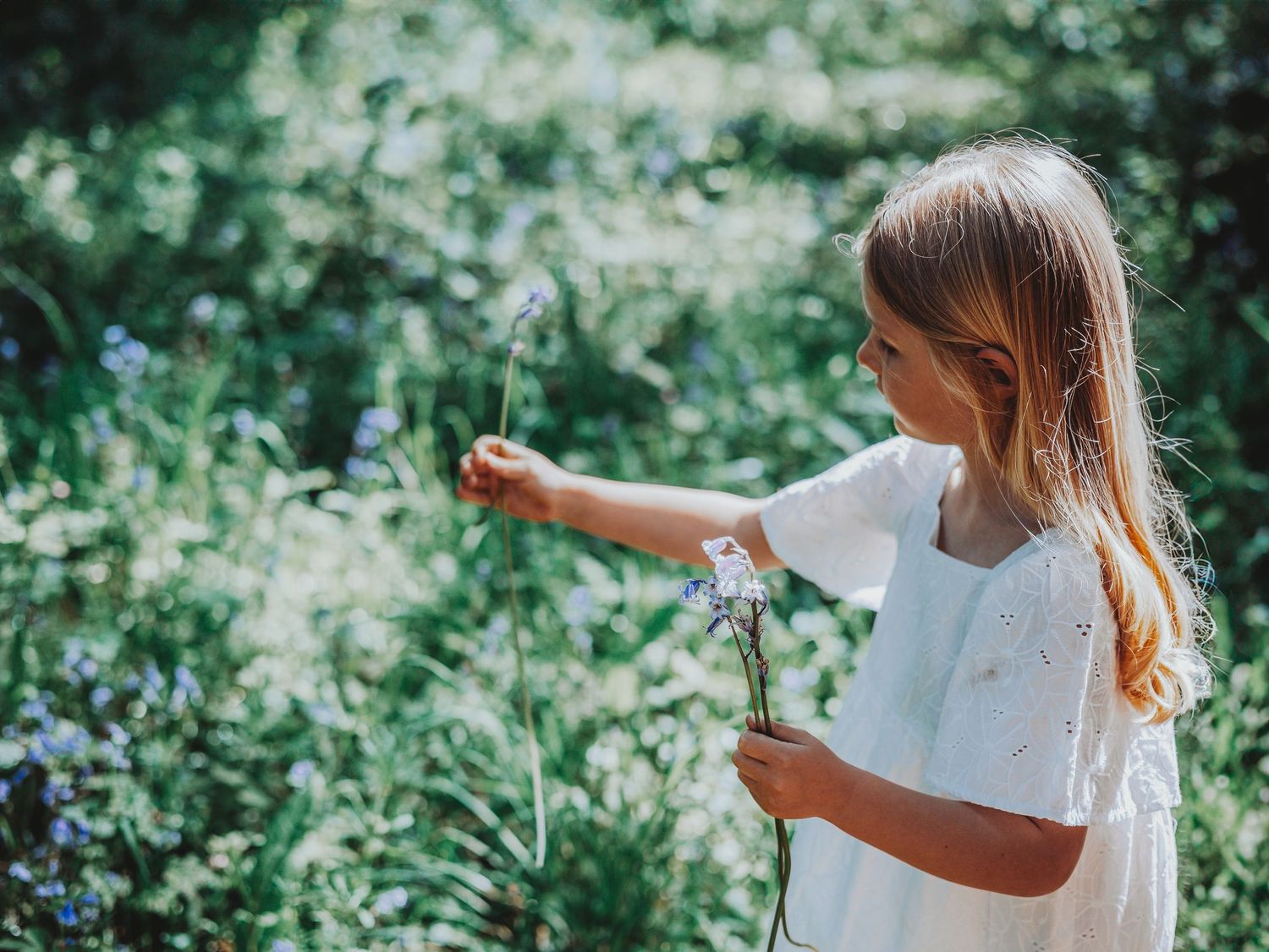 Young girl in white dress picking wildflowers in a lush green garden on a sunny day.