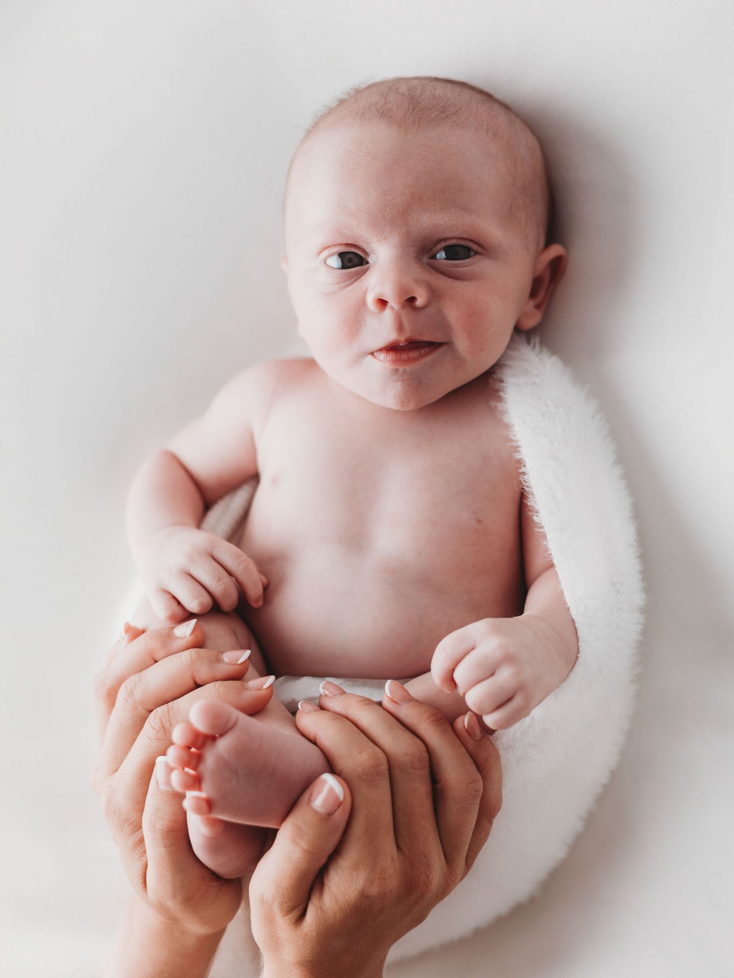 A series of four tender images showing a newborn baby cradled in gentle hands against a soft white background.