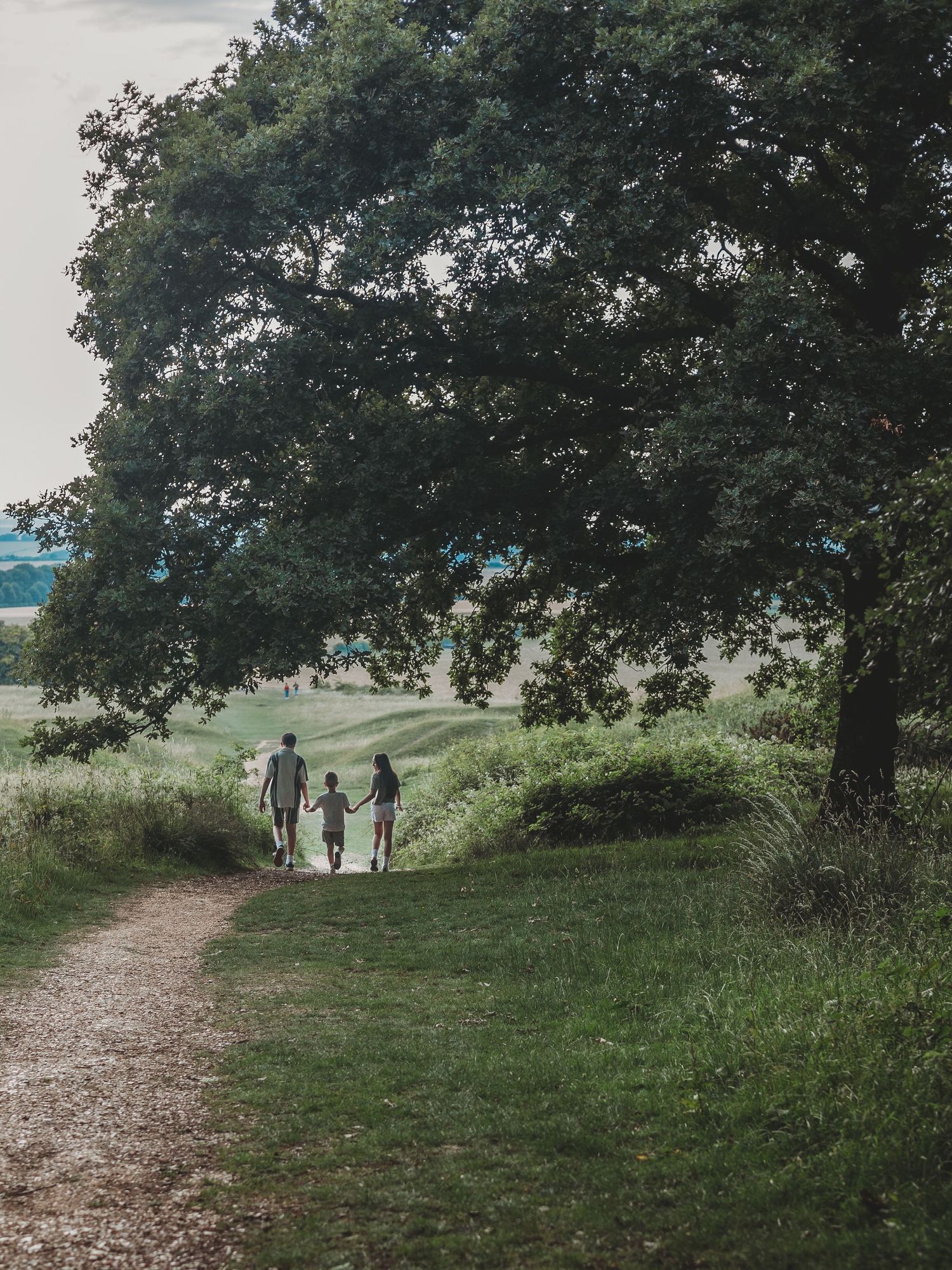 Family of four holding hands walking along a scenic countryside path beneath a large oak tree.
