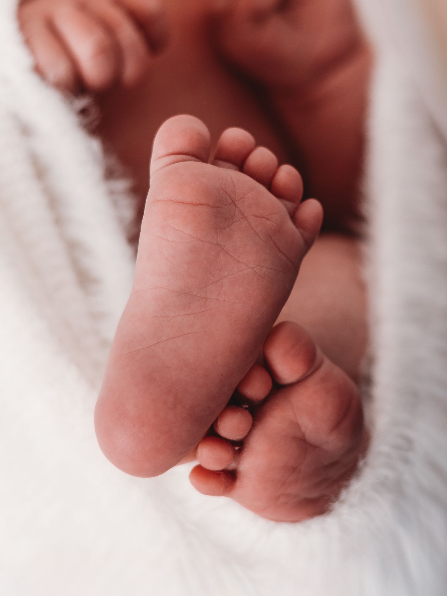 Close-up view of tiny newborn baby feet in soft focus against white blanket background.