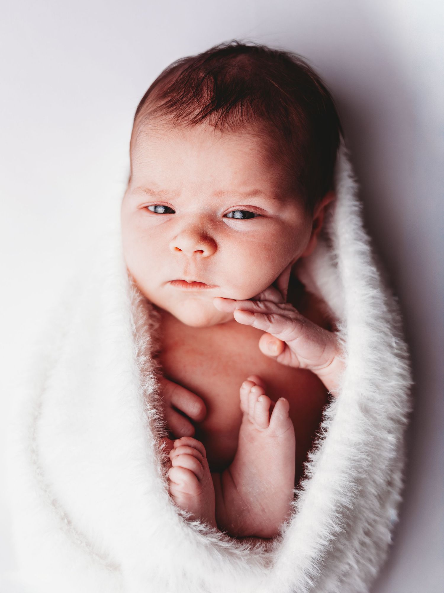 A series of four artistic newborn portraits showing a tiny baby nestled in soft white blankets with dramatic lighting.