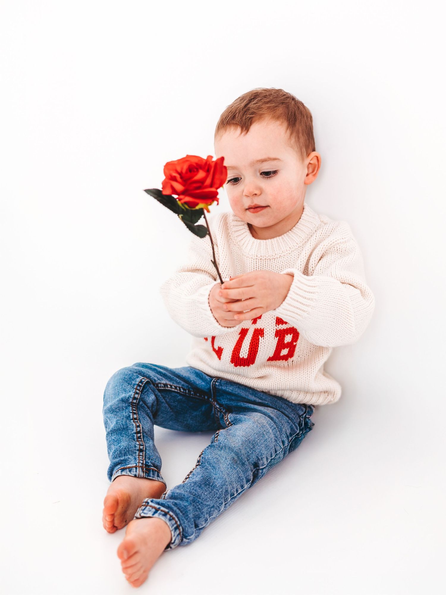 A cute toddler in a white knit sweater and jeans sits on white background holding a red rose.