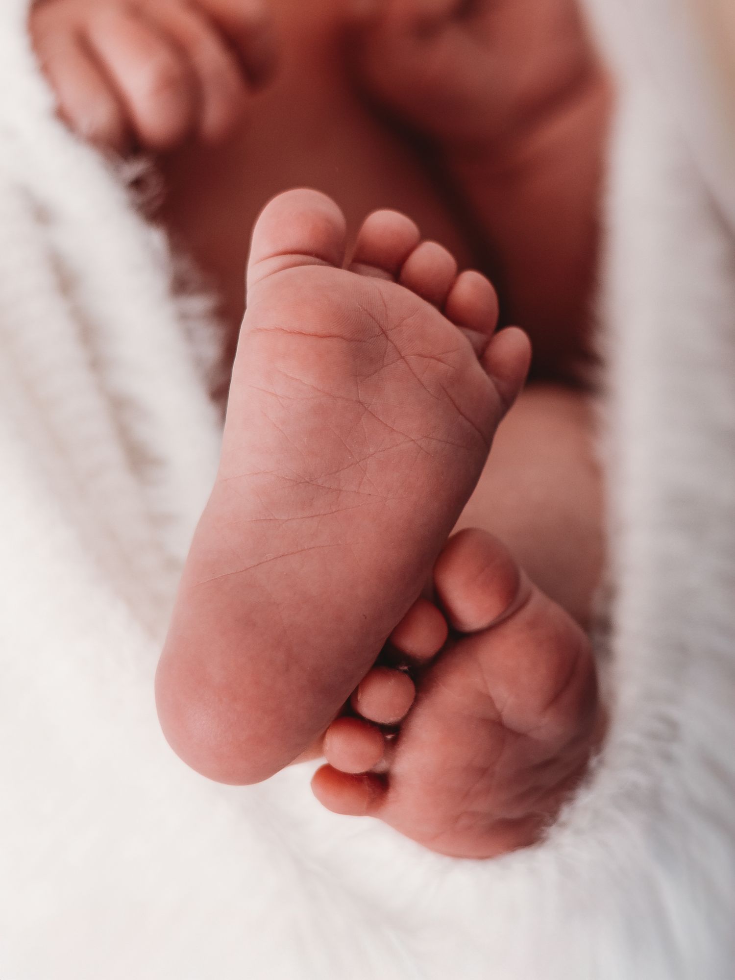 Close-up view of tiny newborn baby feet with delicate toes against a soft white blanket background.