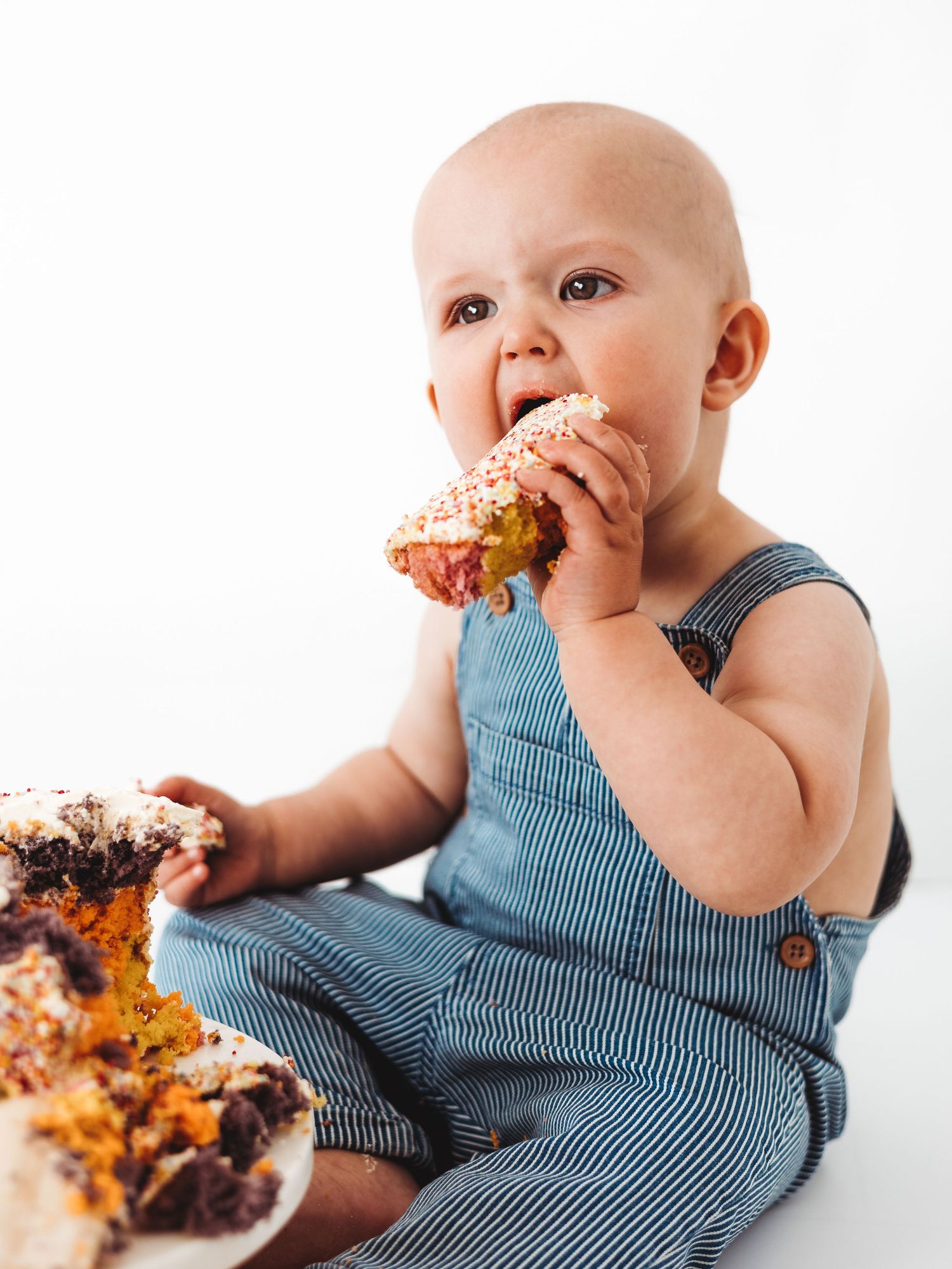 Adorable baby in denim overalls eating a piece of smash cake with both hands on a white background.
