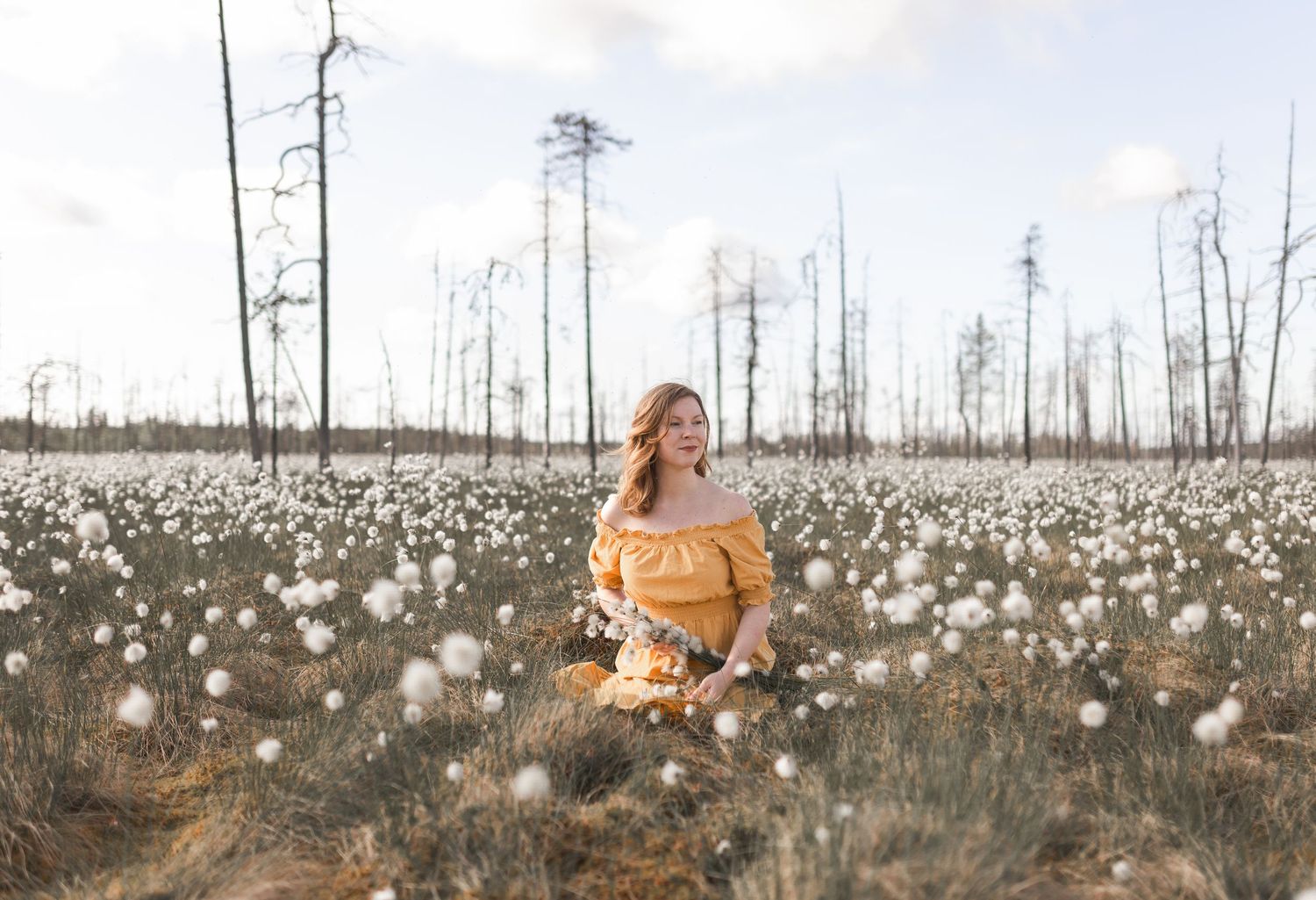 Katri Herukka, 16-jaollinen värianalyysi Sodankylä, Rovaniemi