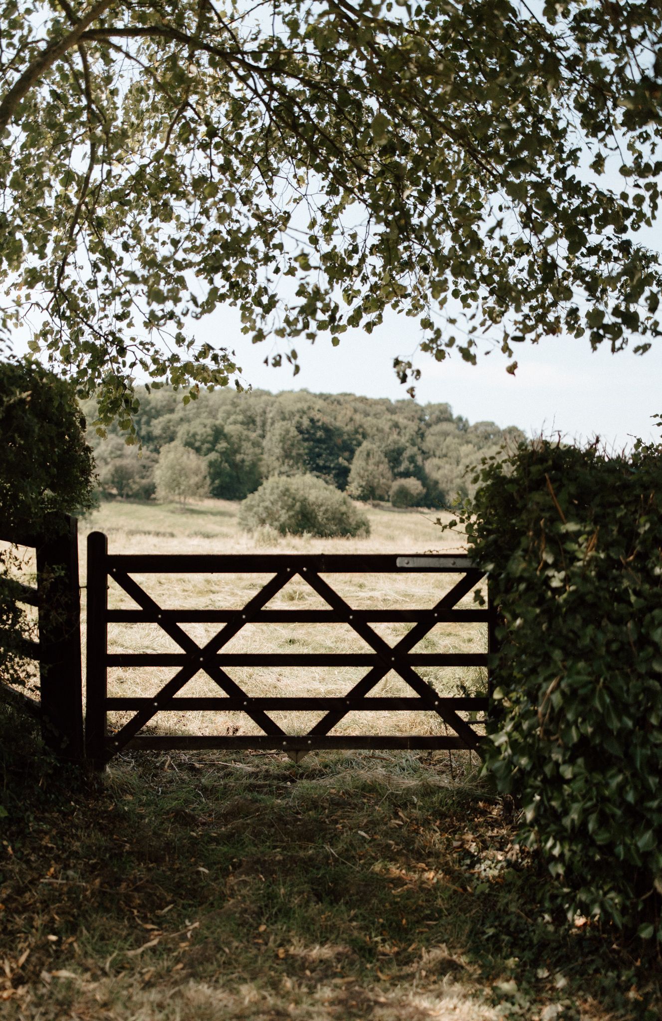 Rustic wooden gates frame a scenic countryside view with trees and rolling hills.