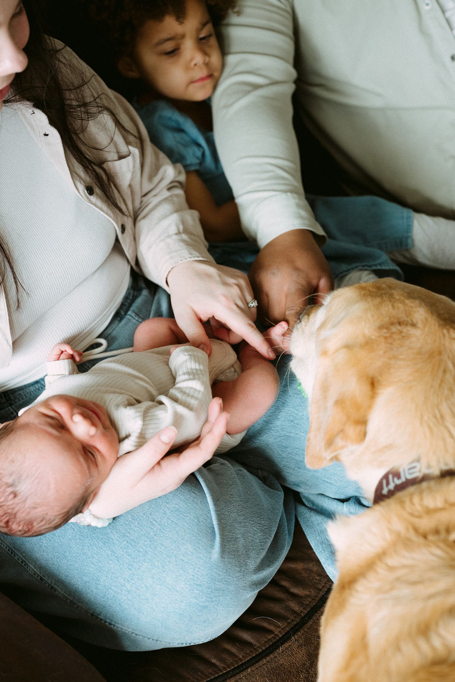 Family with toddler and golden retriever dog gently meeting a newborn baby on a couch.