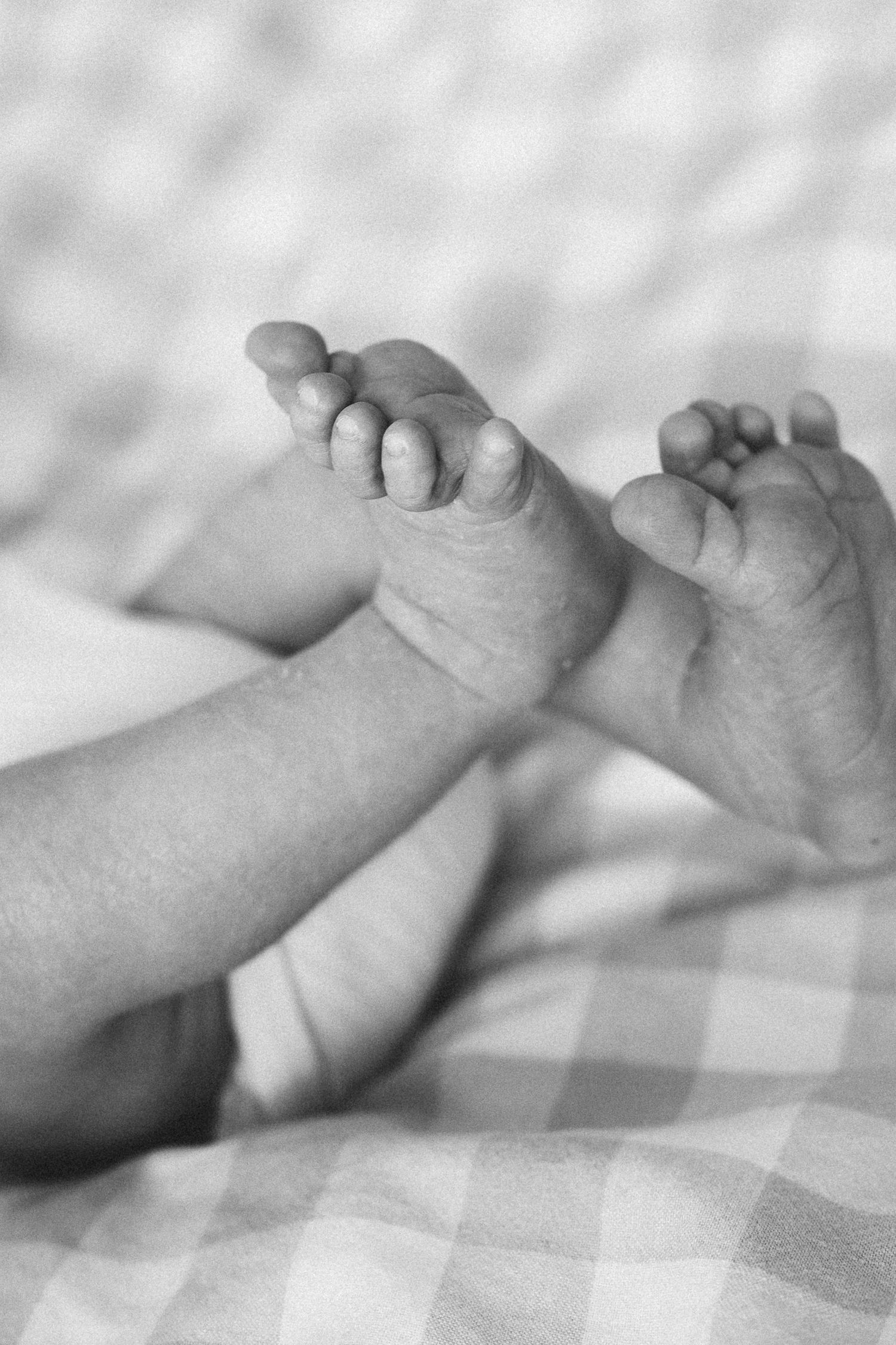 Close-up black and white photo of tiny newborn baby feet resting on a checkered blanket.