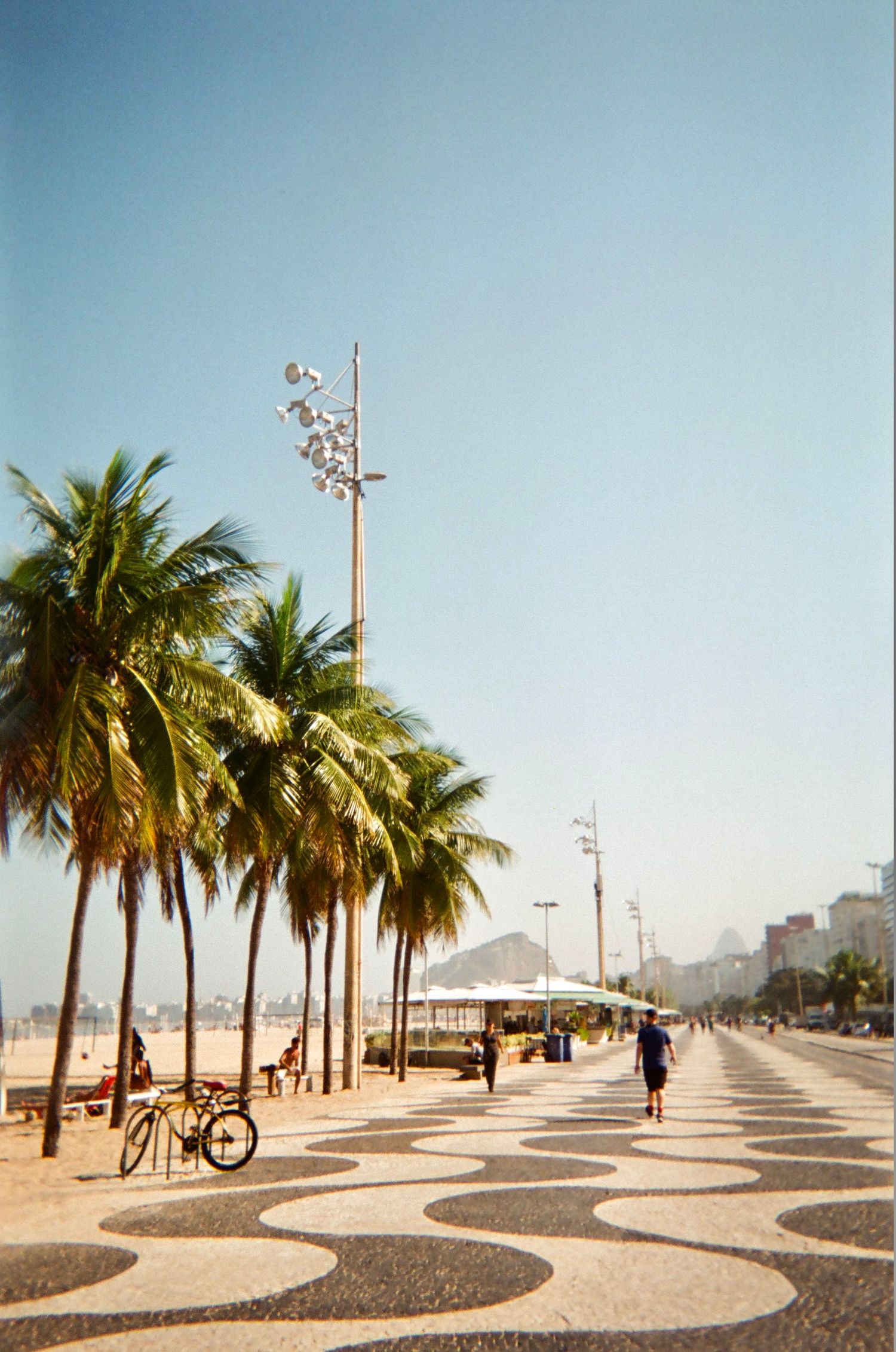 Palm tree lined beachfront promenade with iconic wave pattern mosaic in Rio de Janeiro.