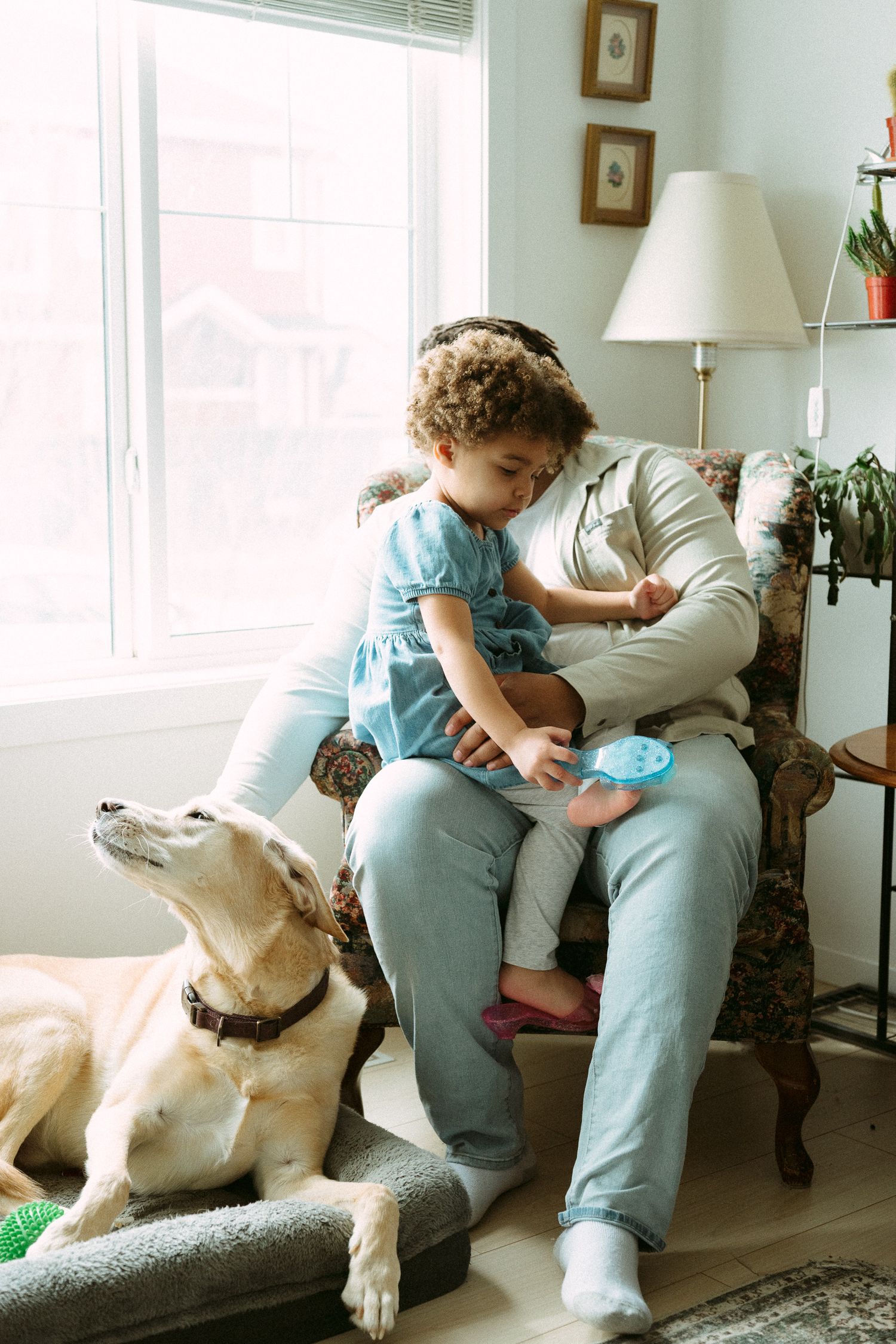 A parent sits in an armchair with a toddler on their lap while a yellow Labrador rests nearby in a bright living room.