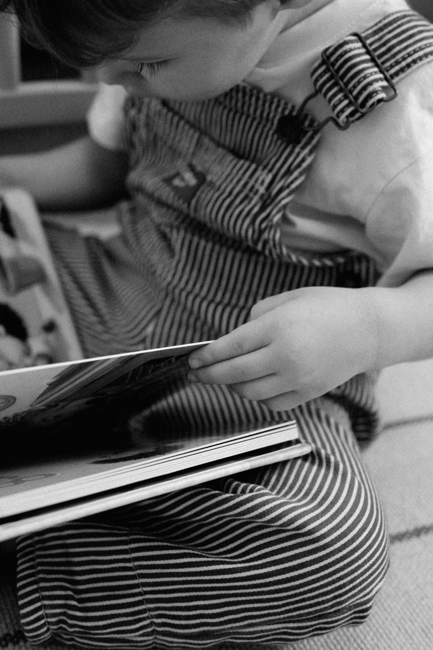 A series of black and white photos showing hands gently petting a cat's striped fur.