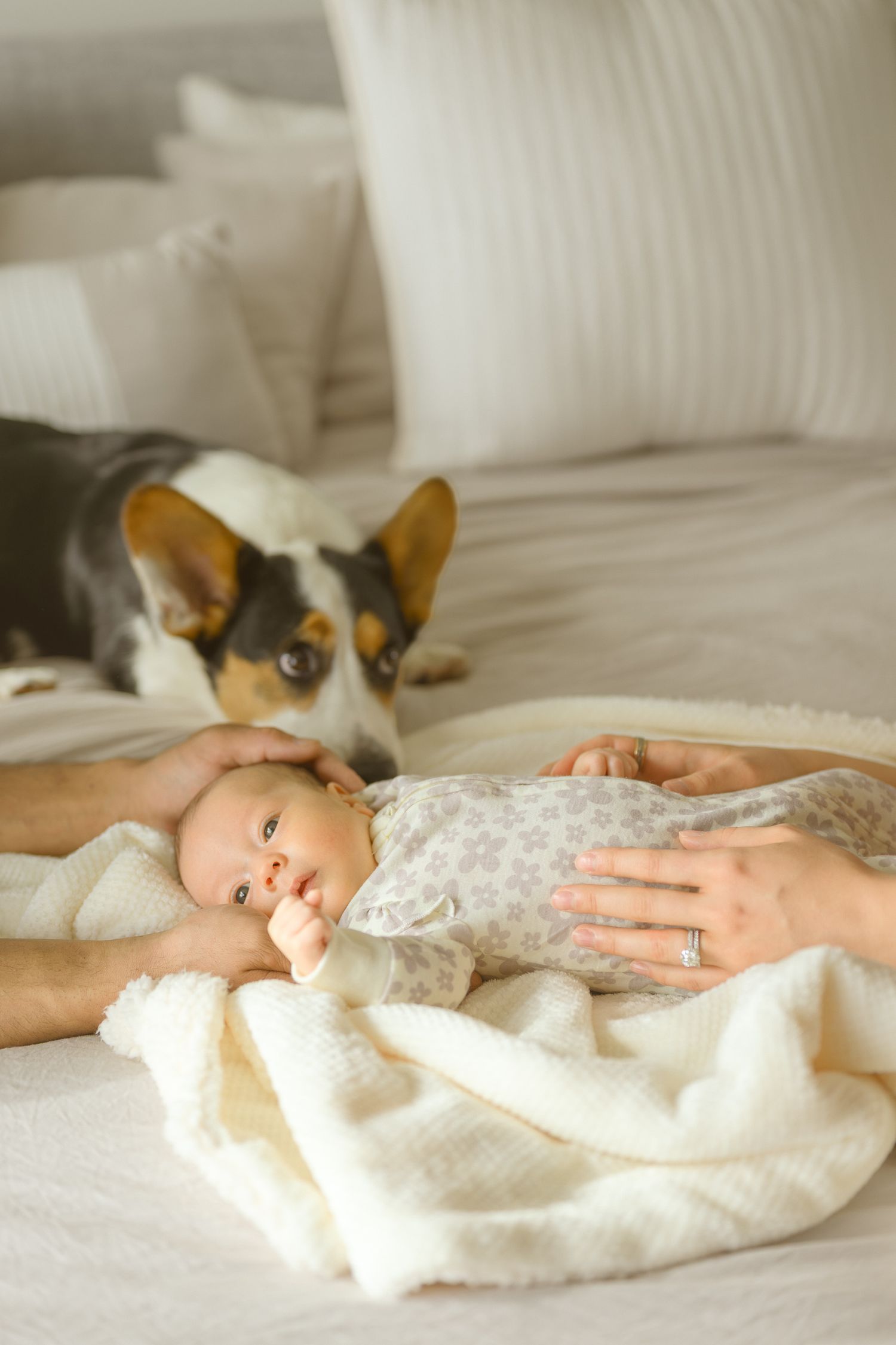 Baby in white dress lies on blanket while cat watches from background.