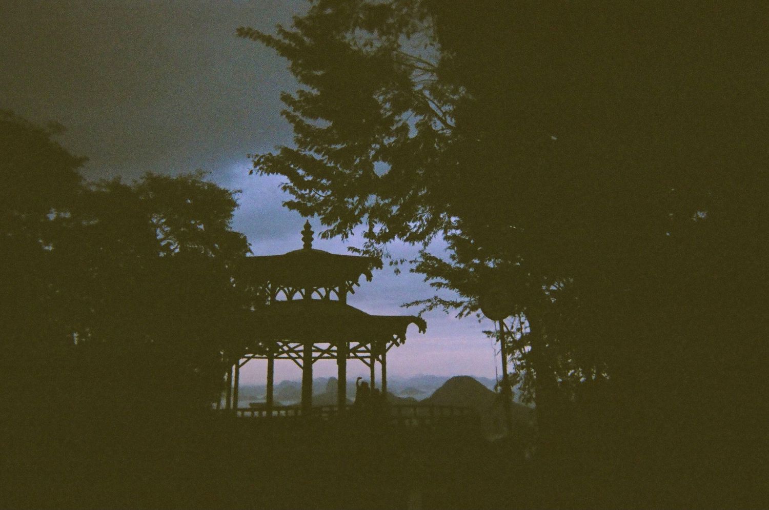 Silhouette of trees and structures against a dark evening sky creating a moody landscape.