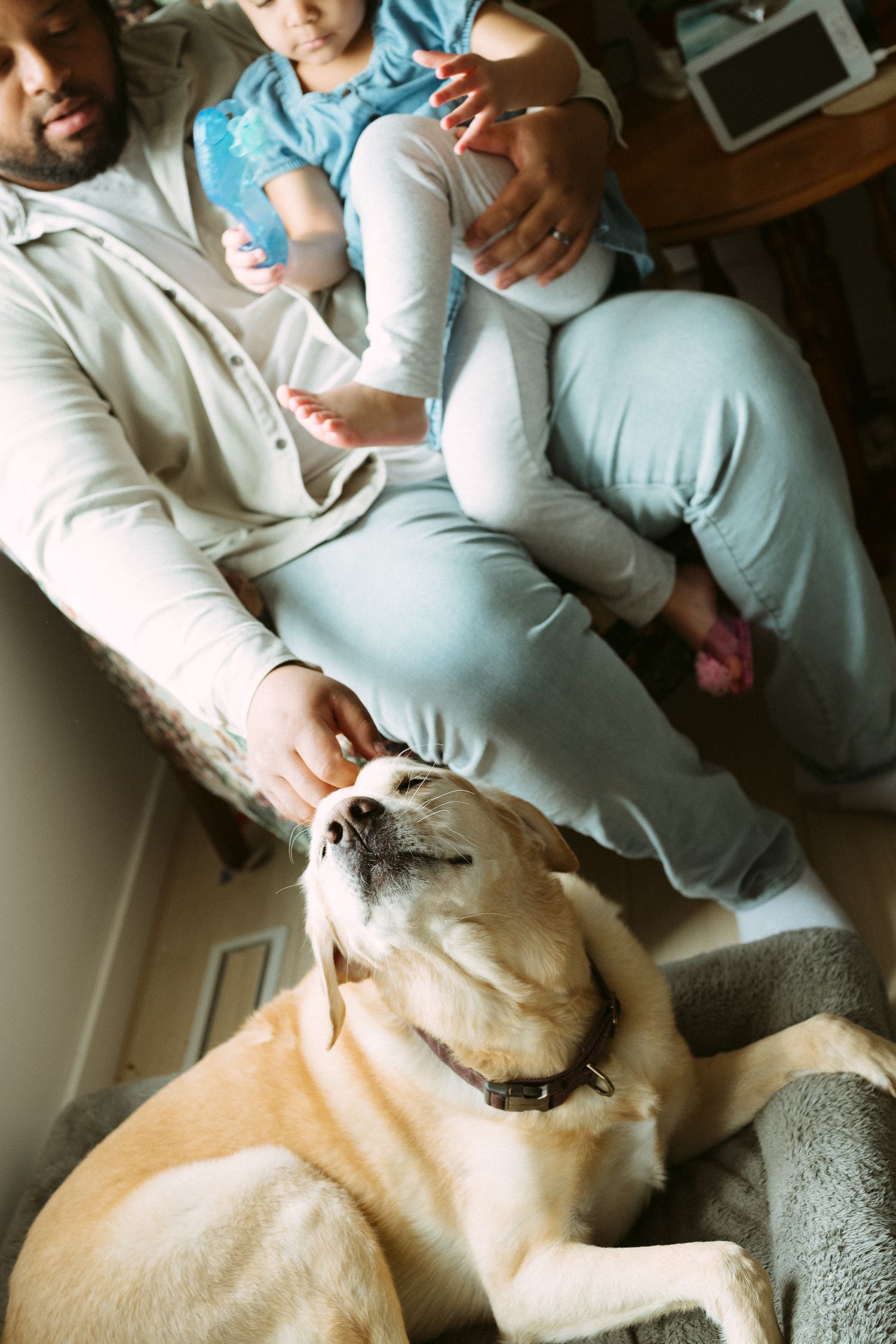 Family with tattooed father, baby, and yellow Labrador dog relaxing together at home in matching light blue outfits.