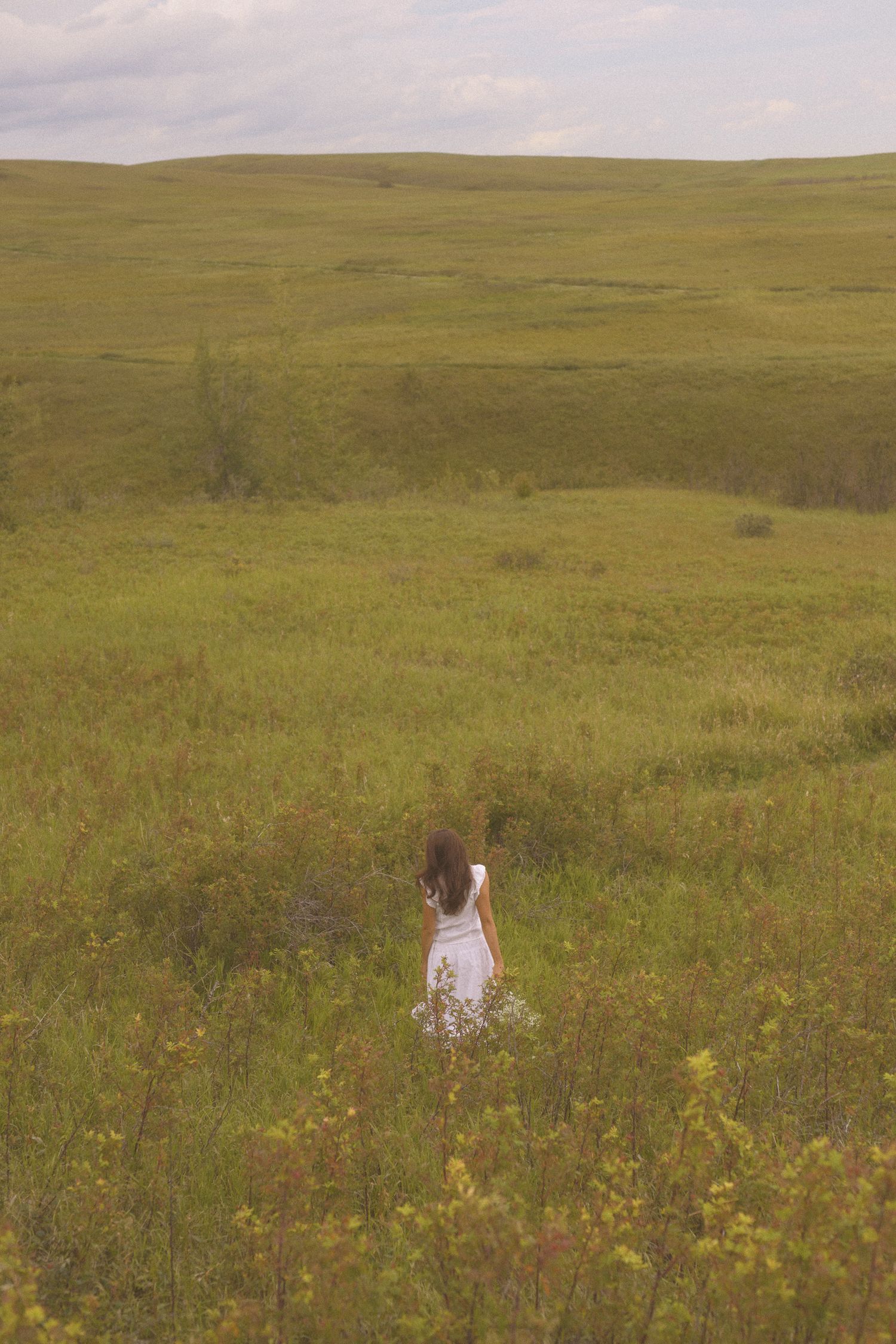 Rolling green hills provide a stunning backdrop for a white dress photoshoot.