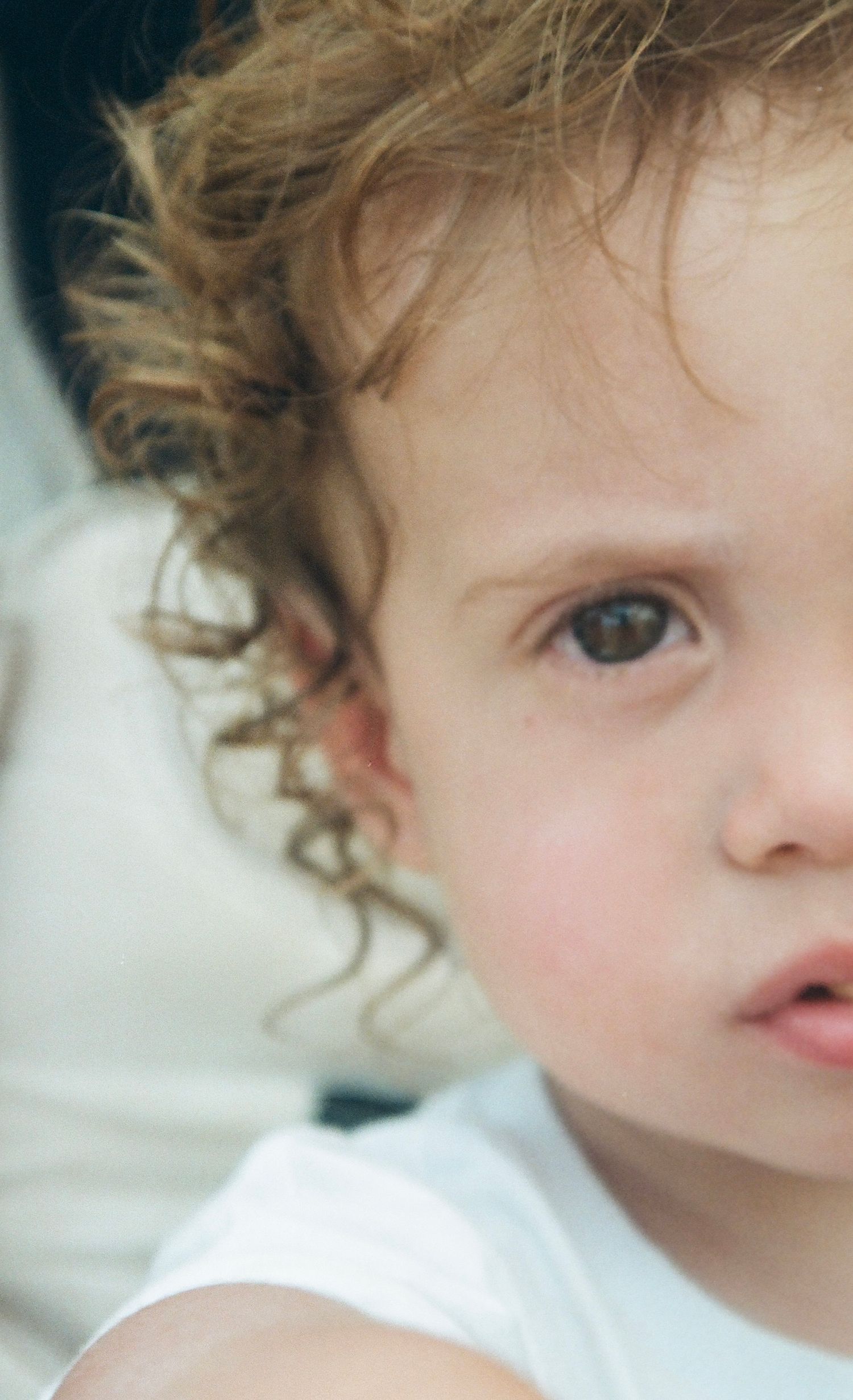 Close-up portrait of a young child with curly hair and rosy cheeks against a white background.