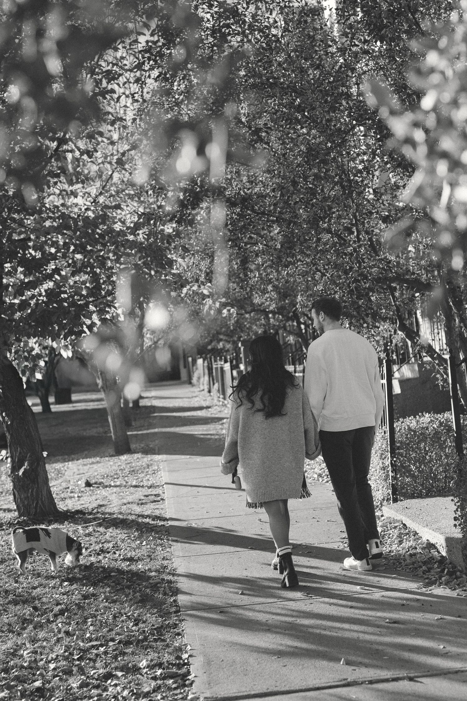 A black and white photo shows people walking down a tree-lined path with fallen leaves.