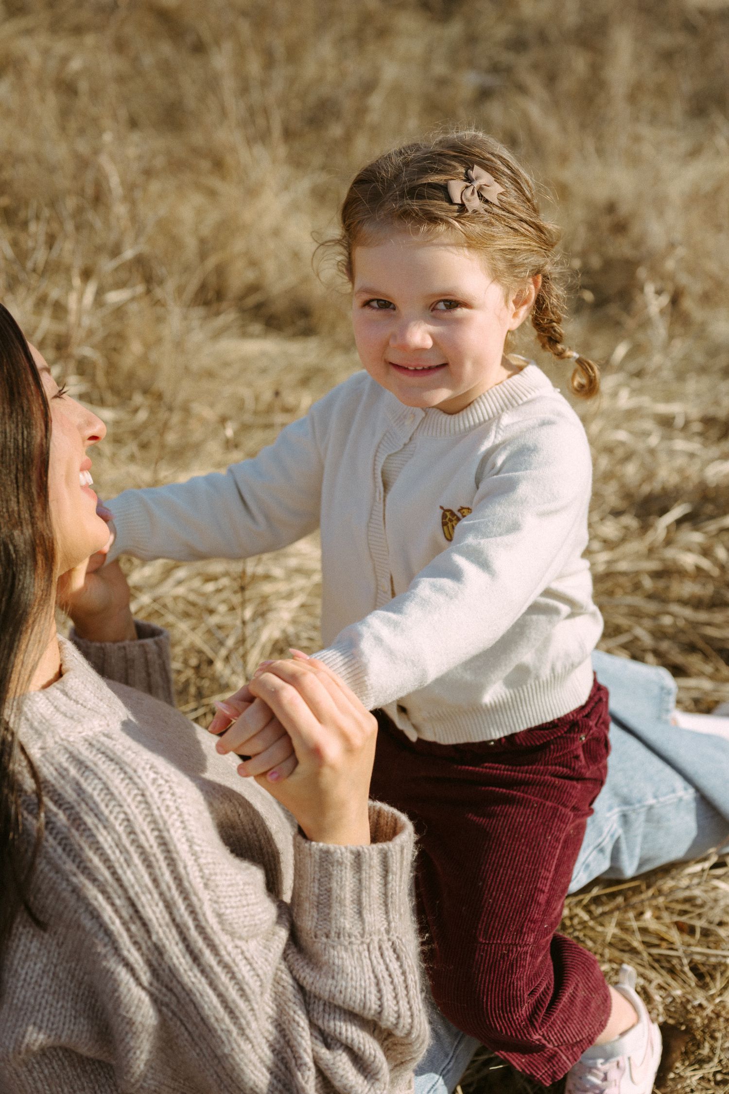 A heartwarming sequence of playful interactions in a field with golden grass on a sunny day.